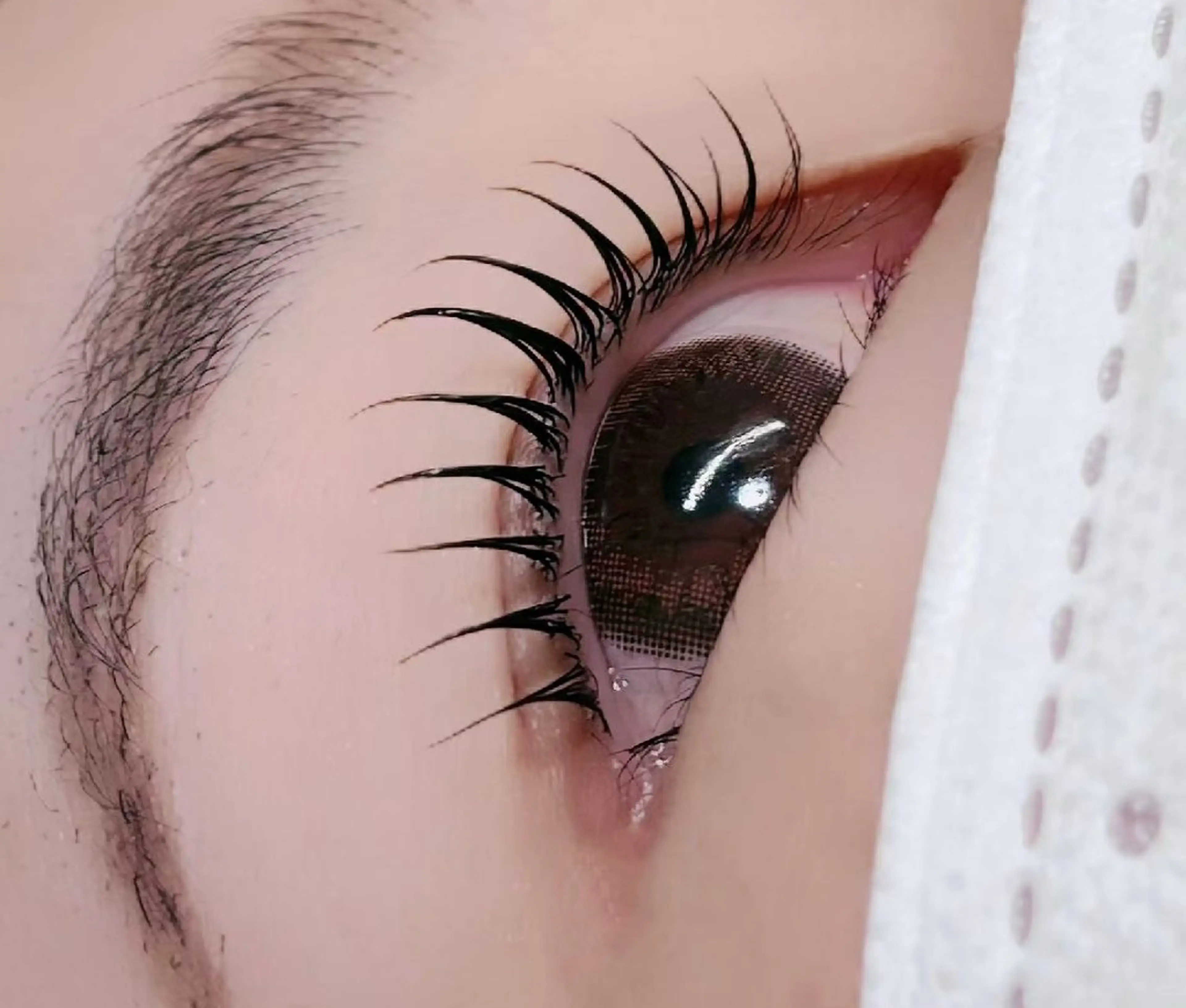 マツエク・マツパ 韓国風マツエク マツパ ルチア💞 lucia高田馬場のマツエク・マツパデザイン