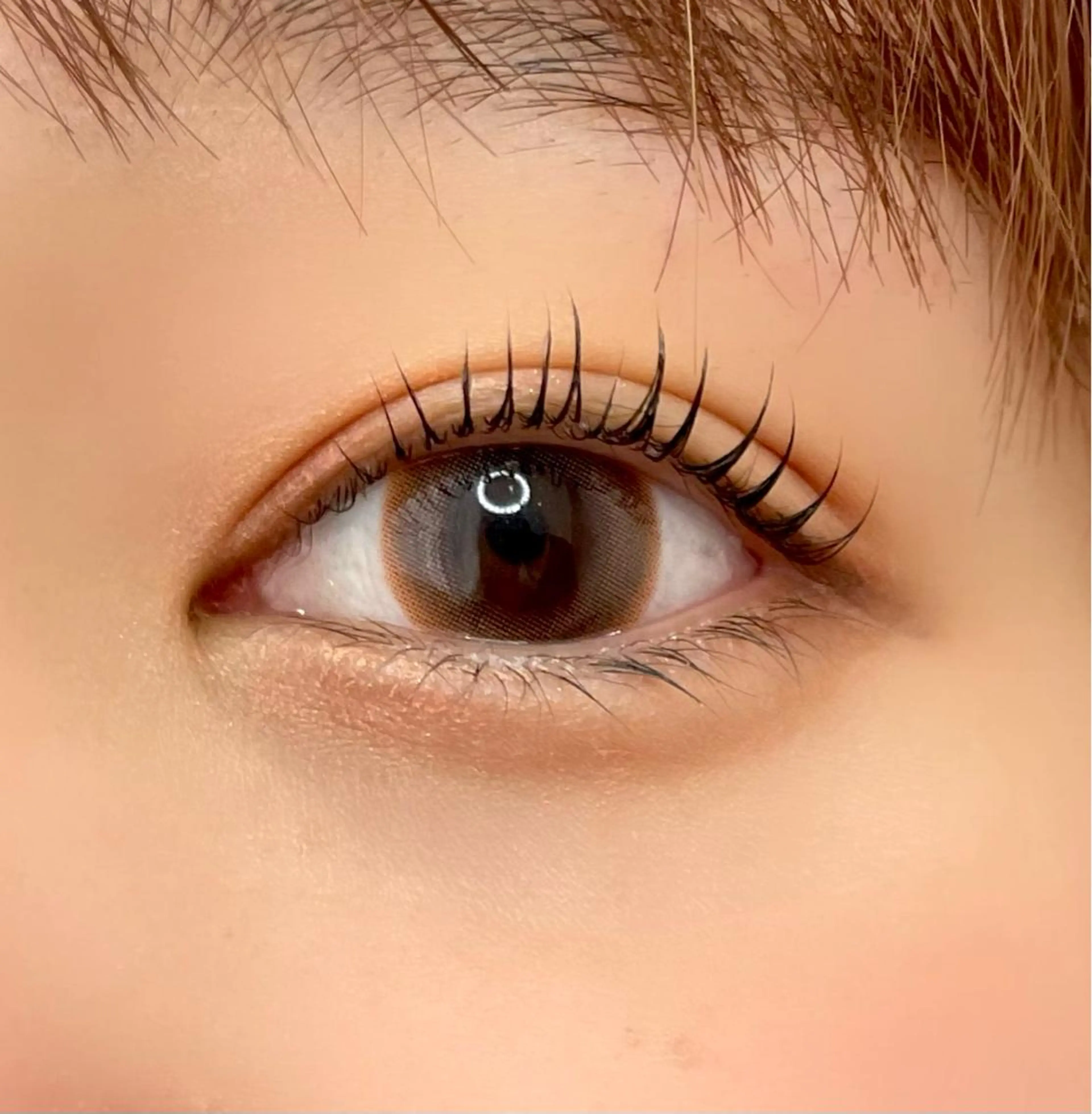 マツエク・マツパ 眉毛/まつ毛/代官山 アイサロン🌻NAEのマツエク・マツパデザイン