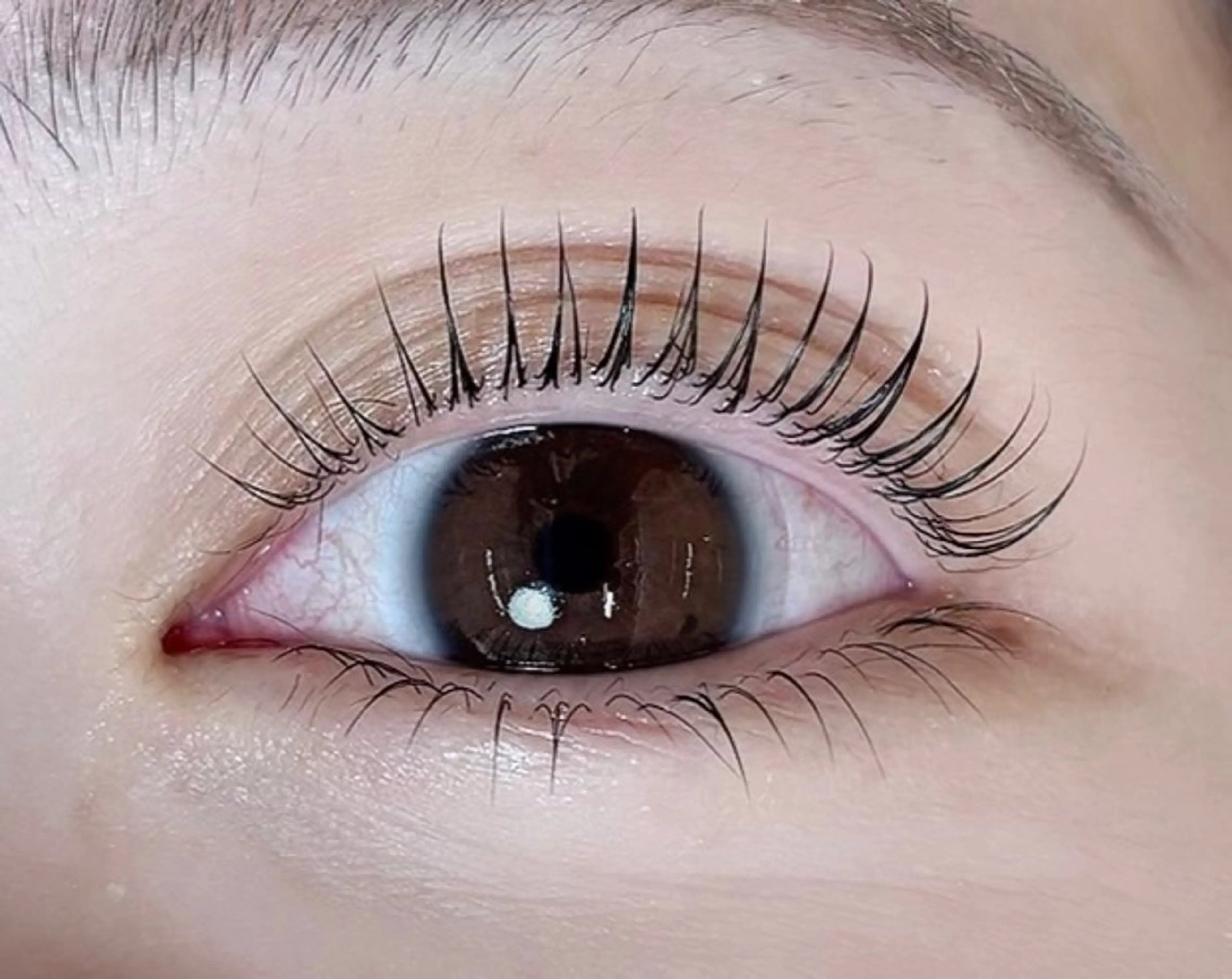 お得セットメニュー ★【まつげパーマ上下  】トリートメント付¥ 7500→6000の写真