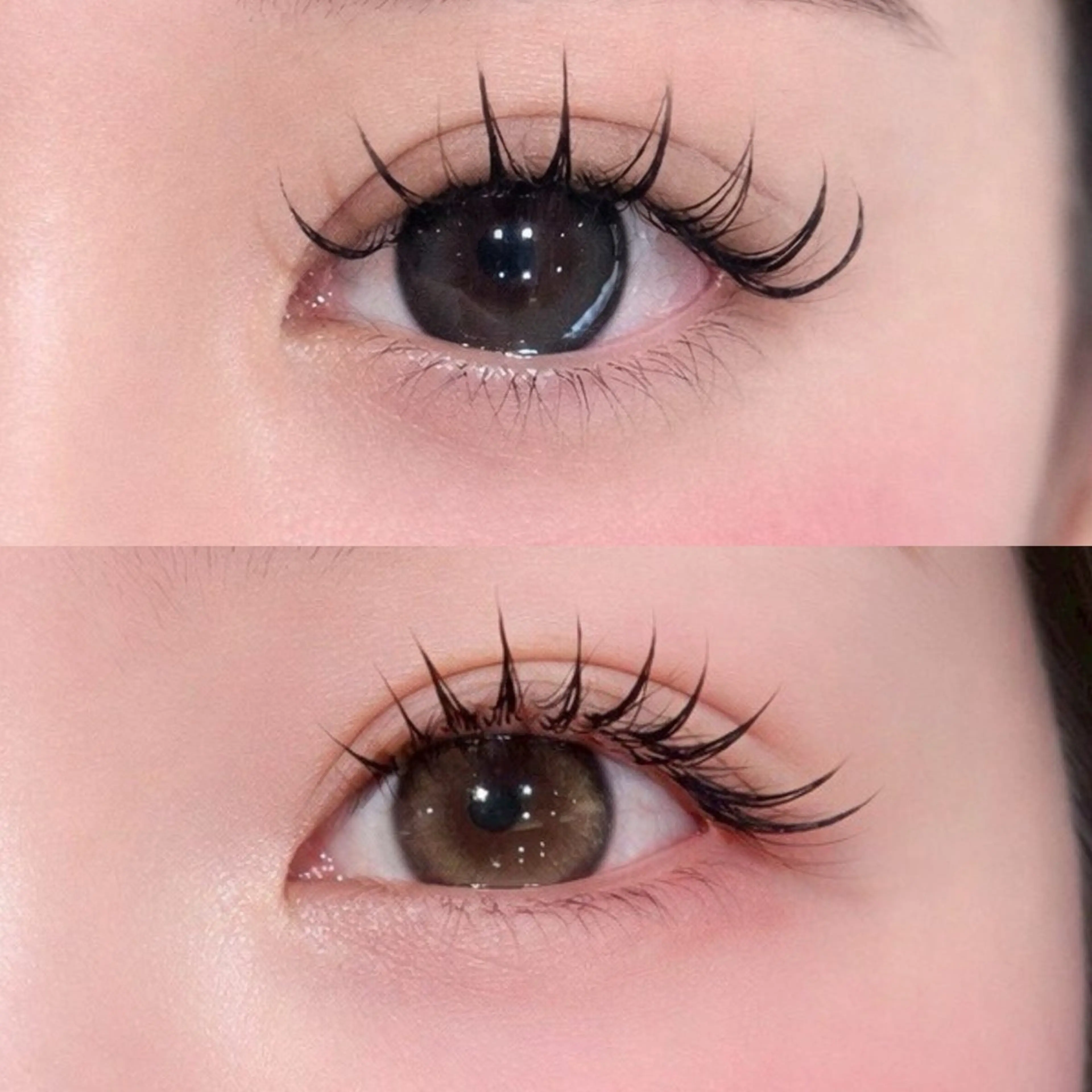 【当日限定】フラットラッシュ100​〜​120本　負担を少なくパッチリお目目に✨韓国風束感お仕上げ♡の写真