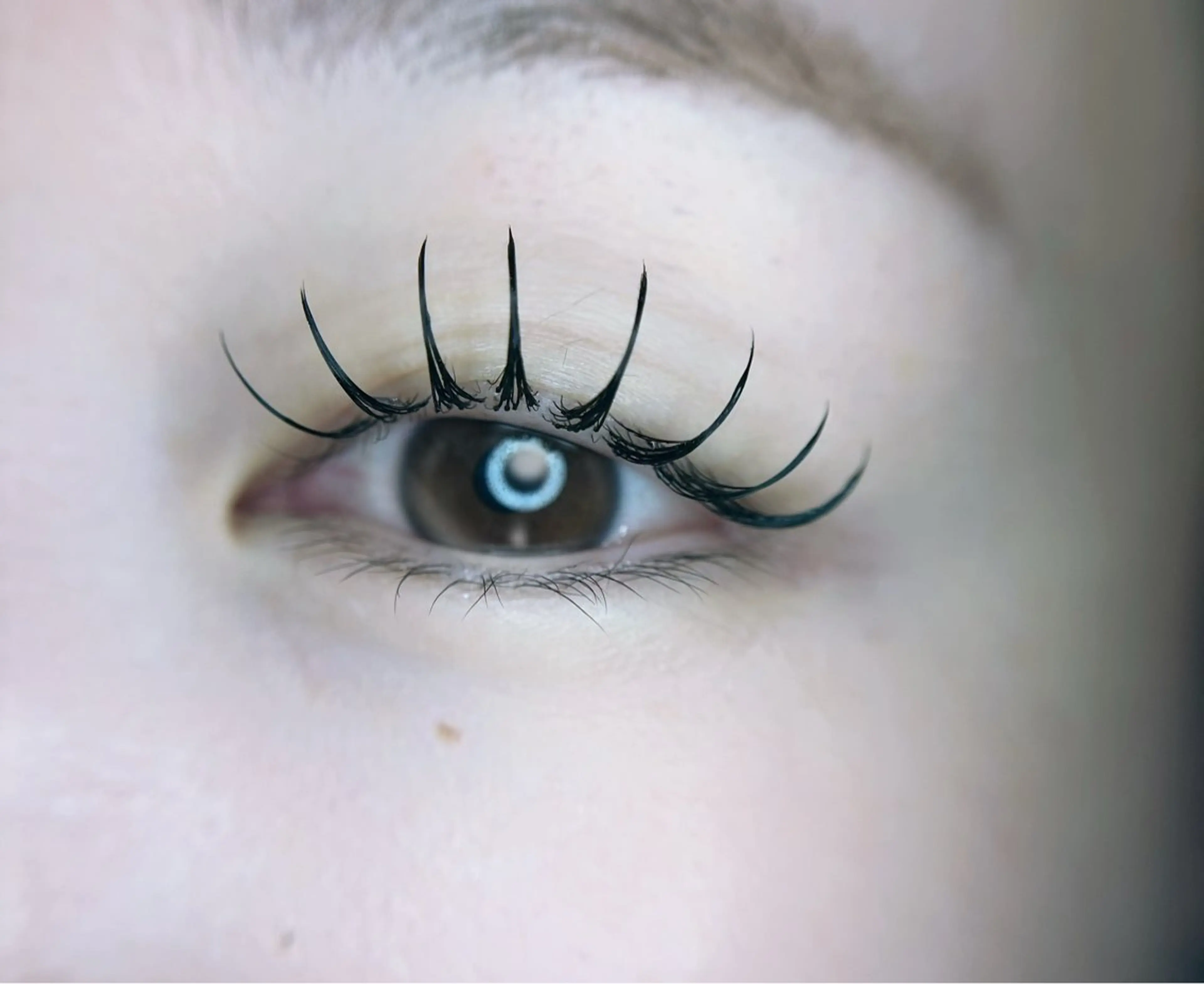 マツエク・マツパ マツエク 🎀eyelist. mizuki🐈‍⬛の眉毛・アイブロウイメージ