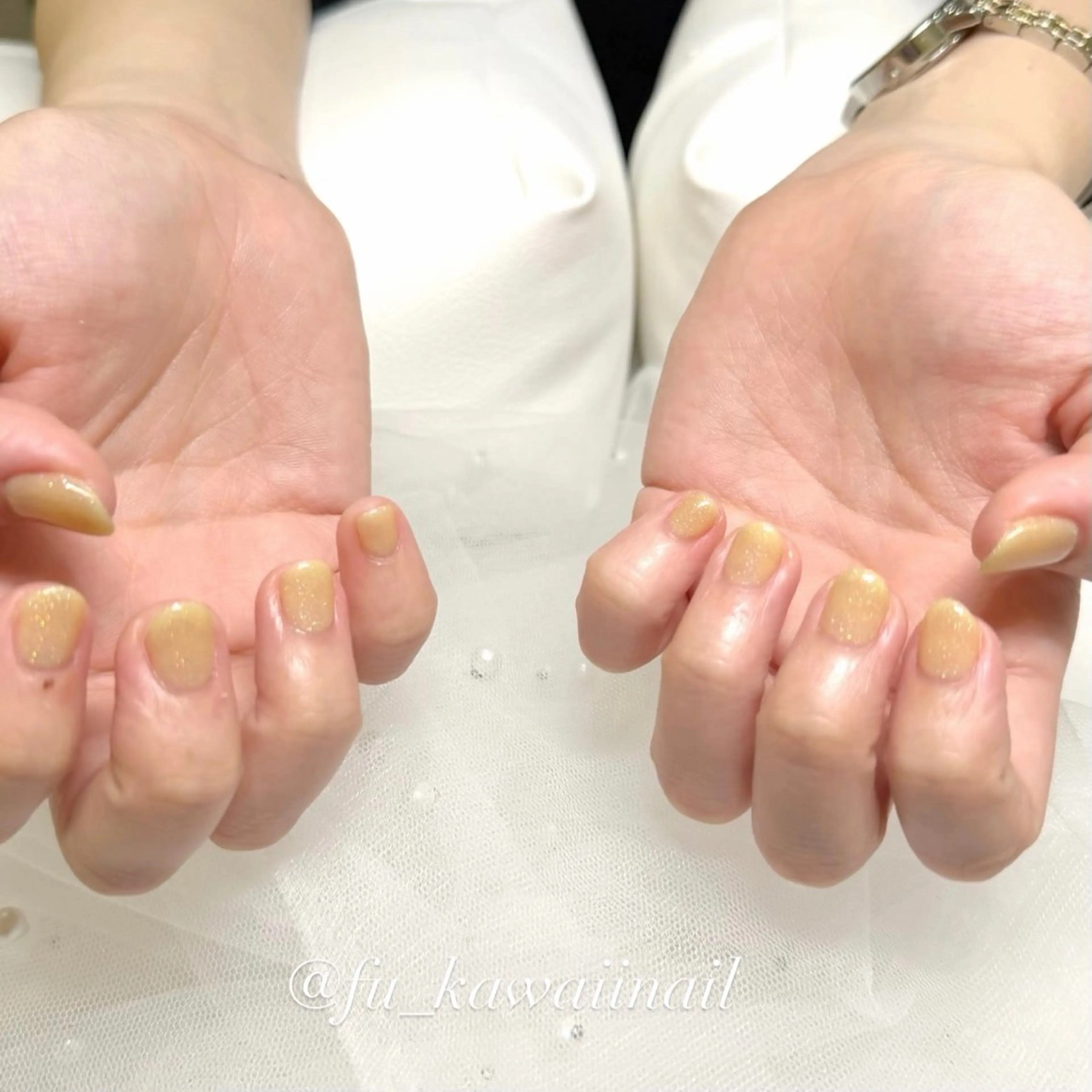 ネイル ハンドネイル 🪞ヤギフウカ🪞 渋谷ネイルのネイルデザイン