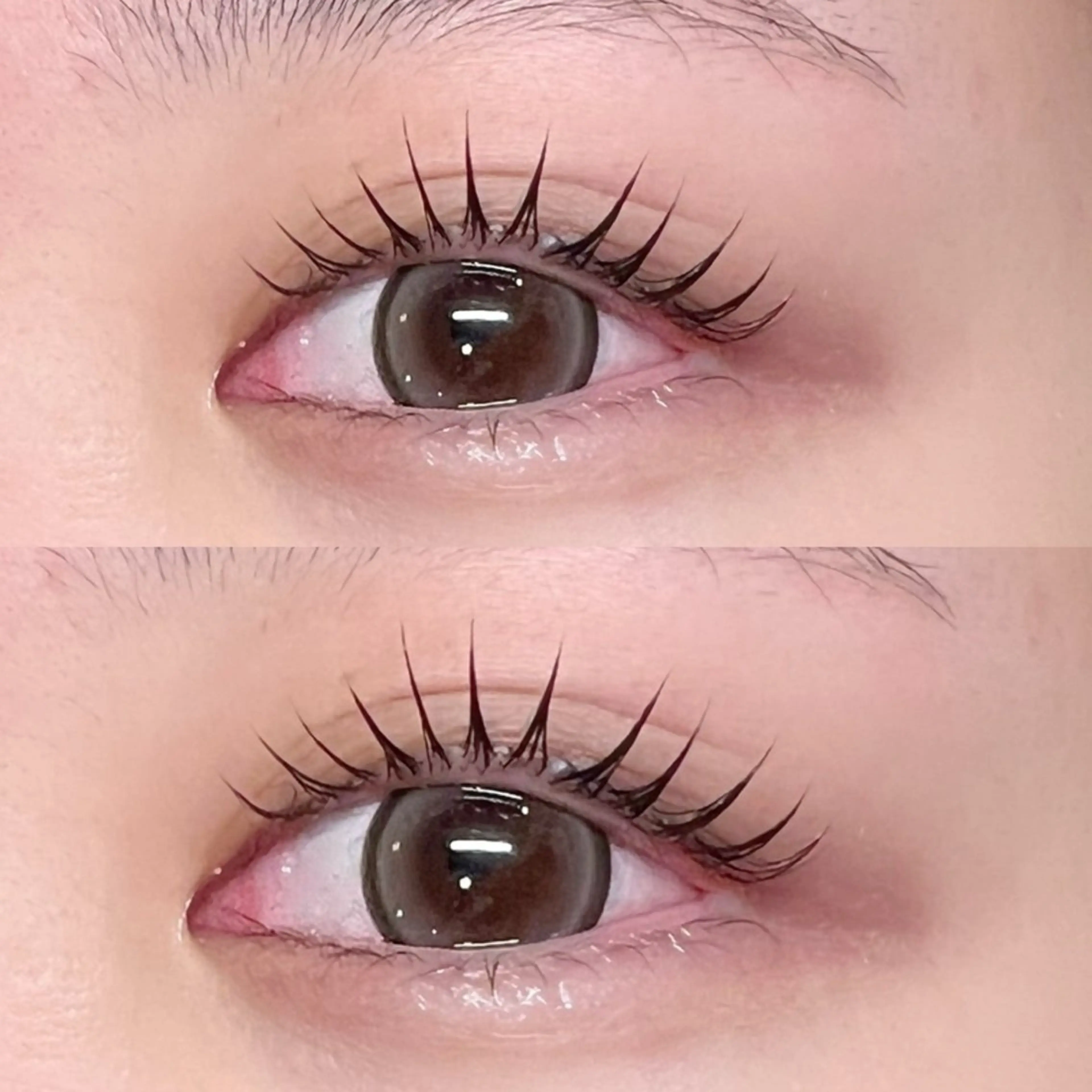 マツエク・マツパ バインドロック フラットラッシュ パリジェンヌラッシュリフト まつげパーマ 下まつげエクステ マツパ 🎀Lino 中目黒 TAKAMI🐈のマツエク・マツパデザイン