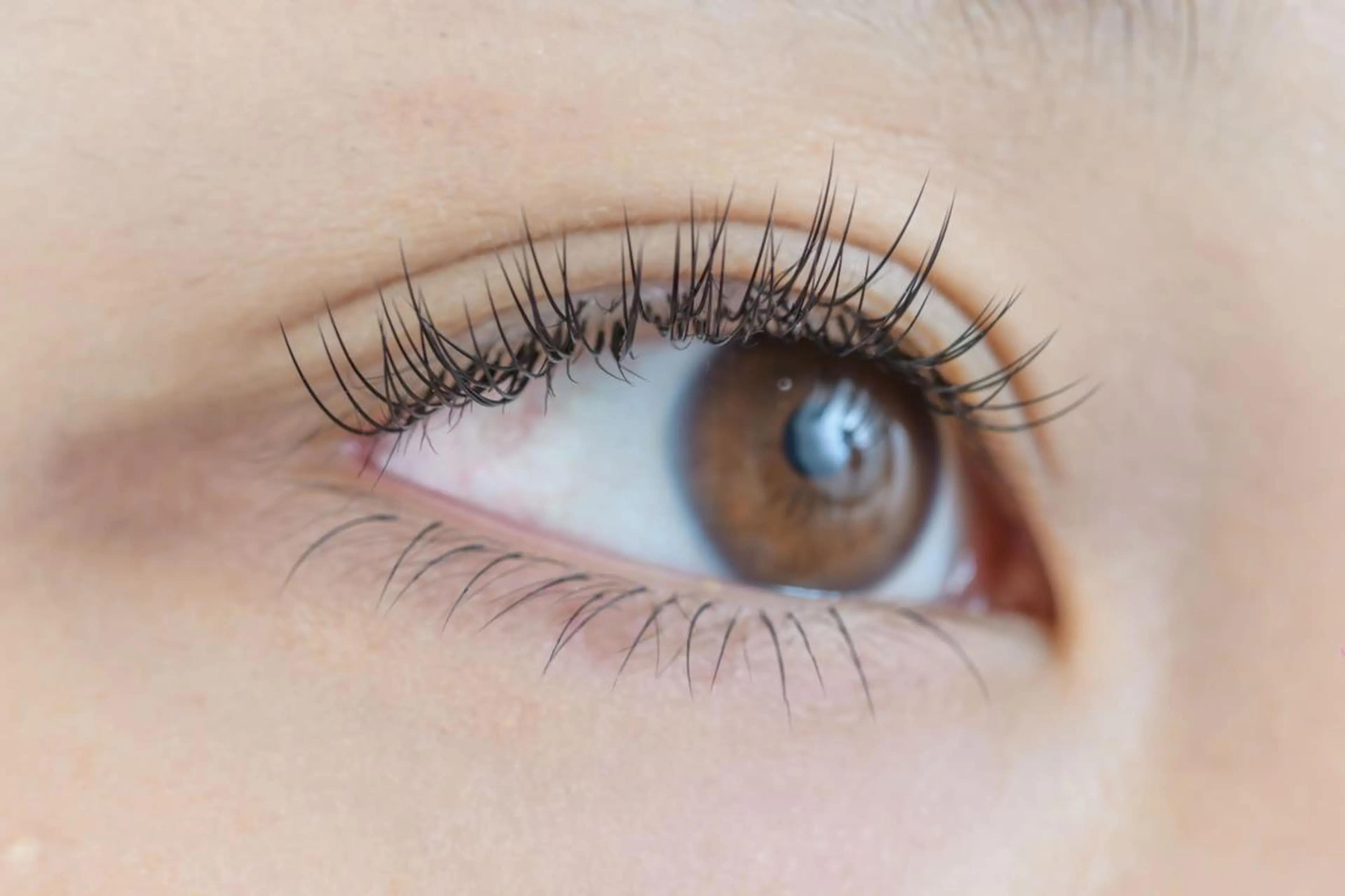 マツエク・マツパ セーブル アイサロン フェア 海老名店のマツエク・マツパデザイン