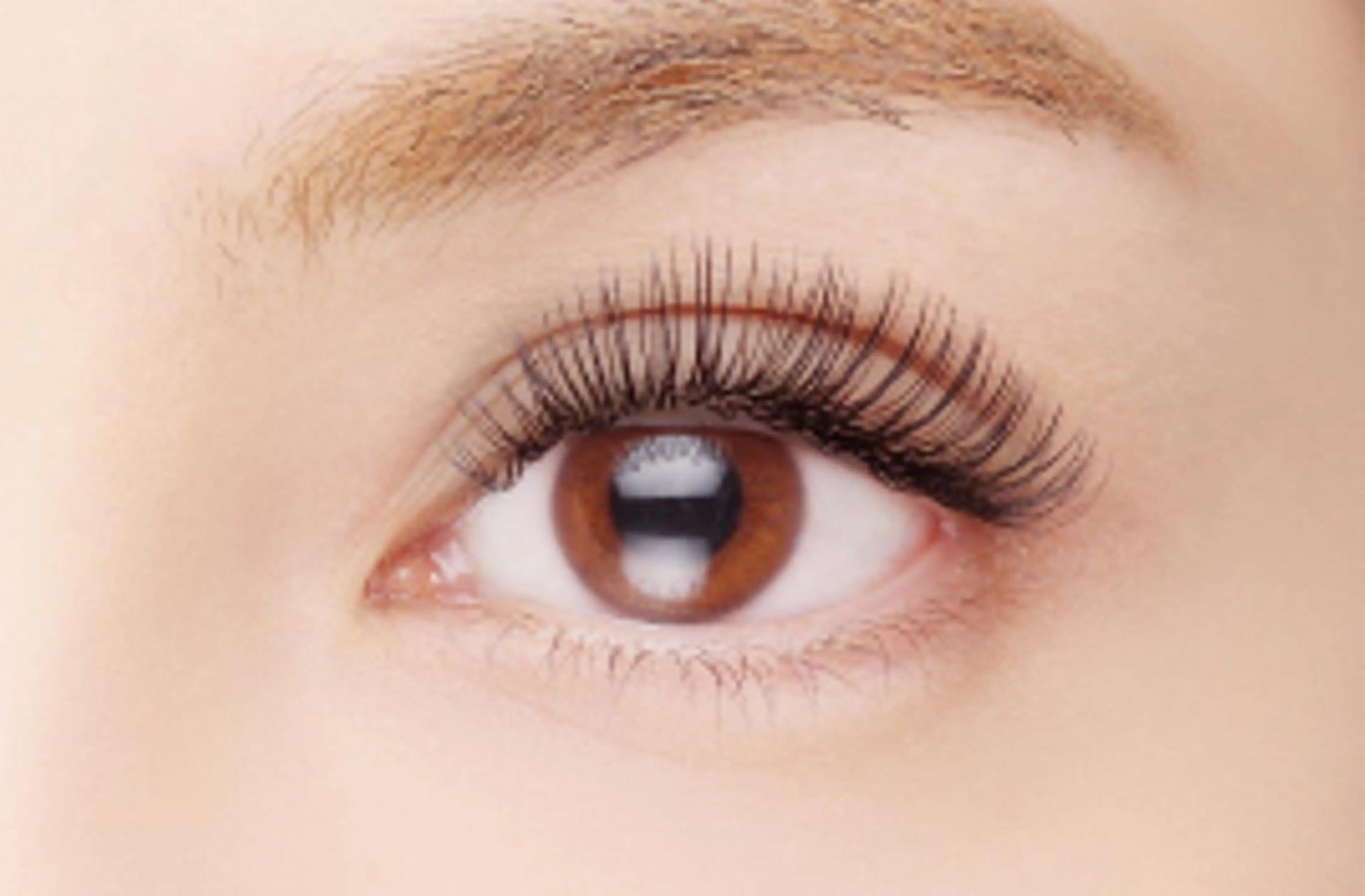 マツエク・マツパ マツエク Liz.&所属・eyelash Liz.&(つぼい)のマツエク・マツパデザイン