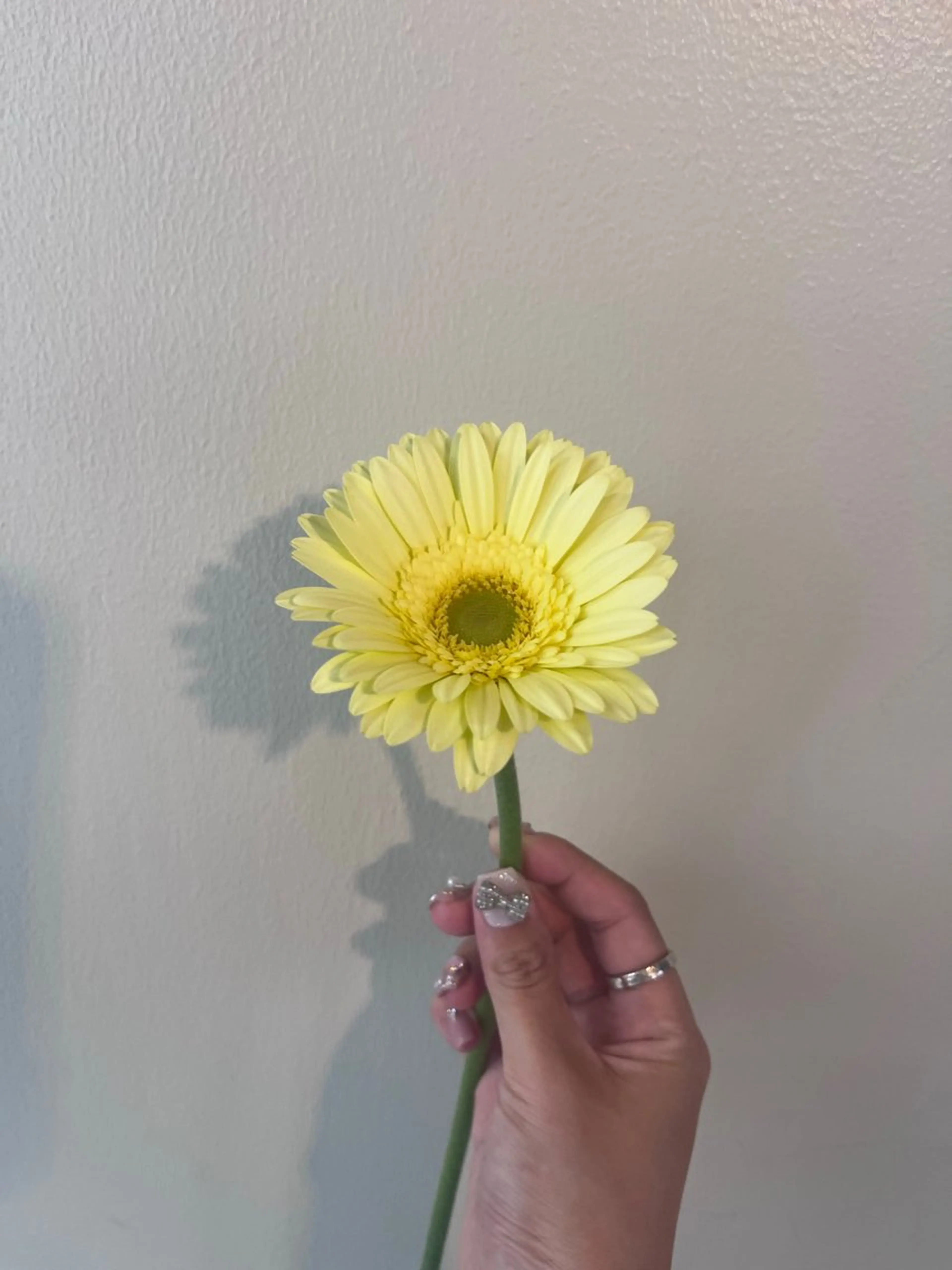 暖色カラー／ ヘアセット🌛櫻井舞のヘアスタイル