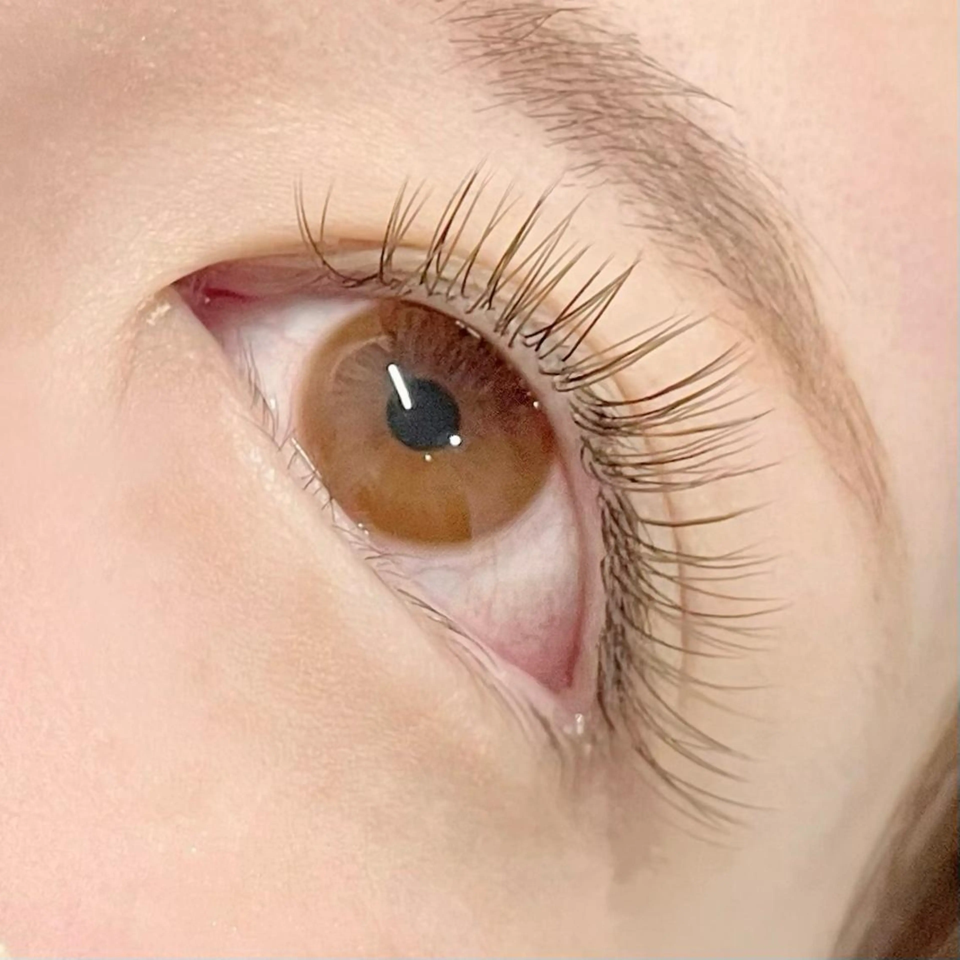 マツエク・マツパ フラットラッシュ EYEMAJIC Pure★高見の眉毛・アイブロウイメージ