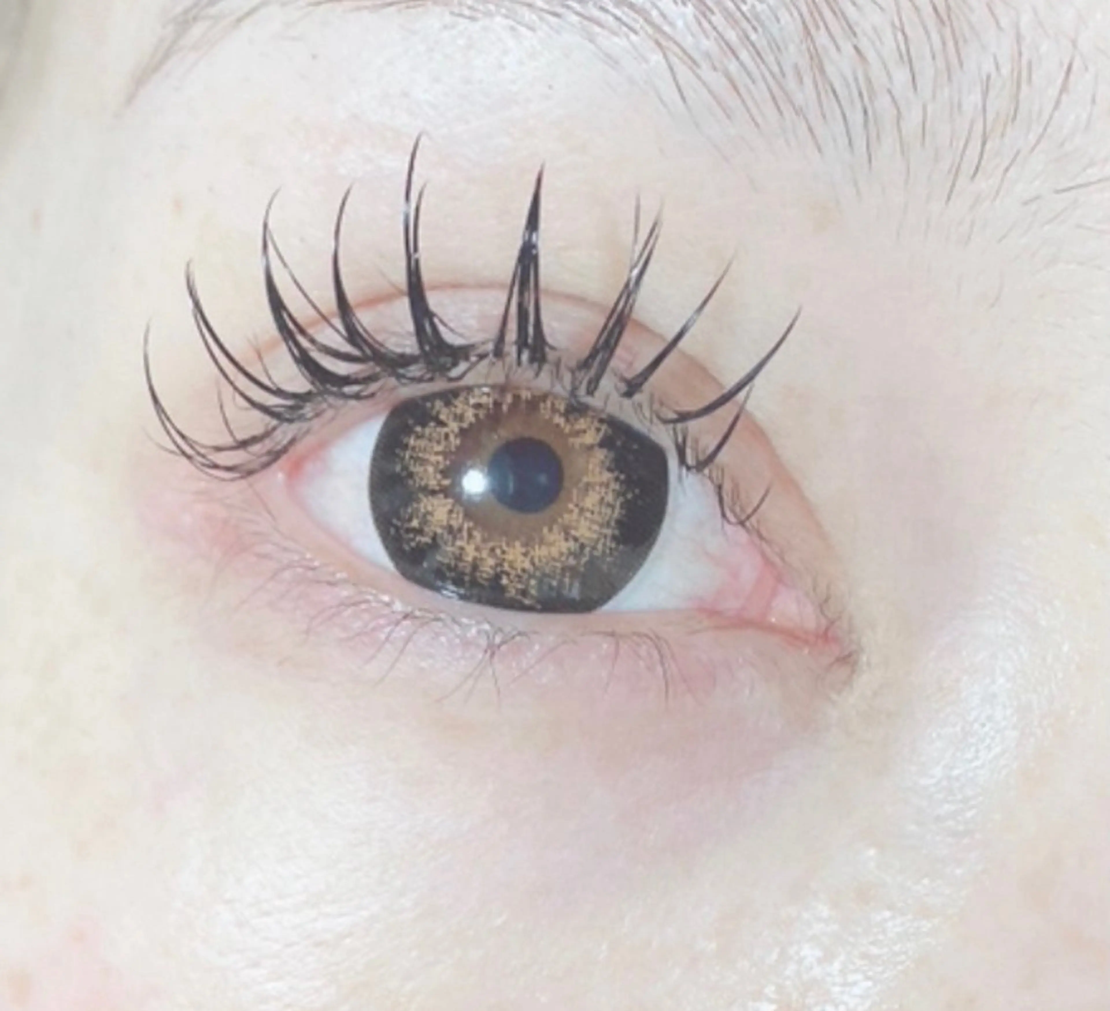 マツエク・マツパ フラットラッシュ BECKY LASH 芹澤のマツエク・マツパデザイン