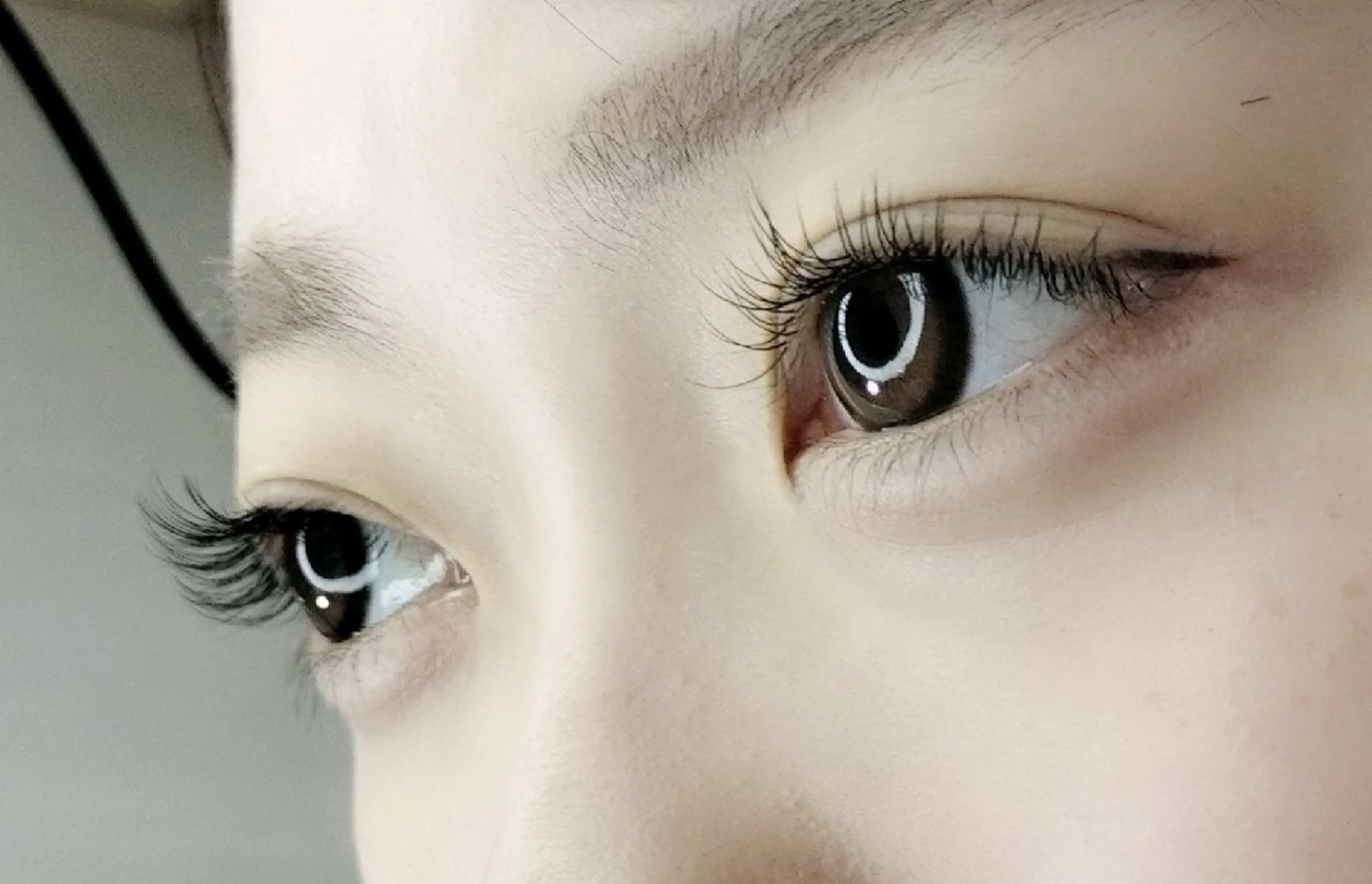 地域初✨高持続✨メガフラットラッシュ60束(180本相当)♡の写真