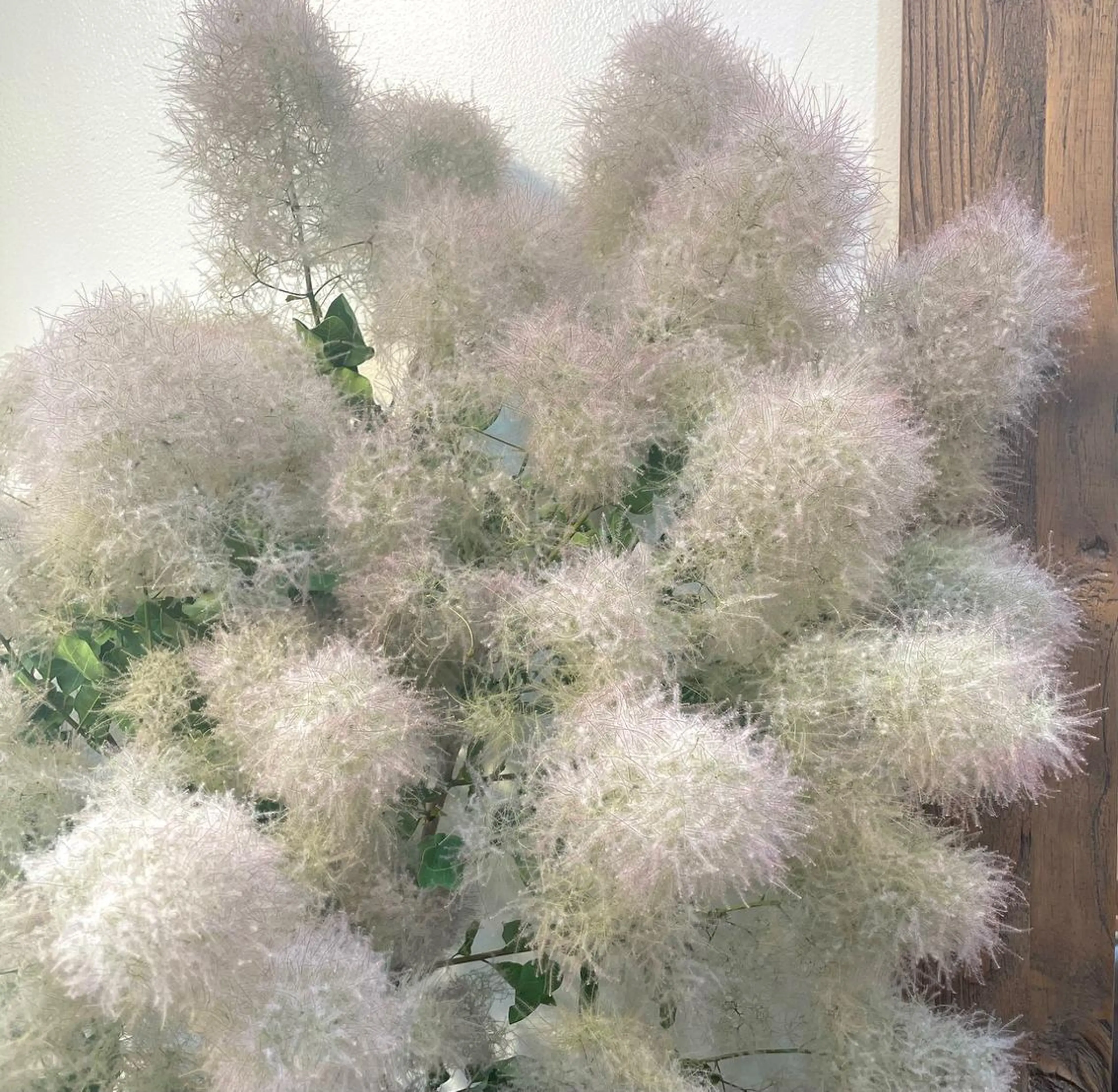 カット ヘアカラー はるか 💐 お悩み改善美容師のヘアスタイル