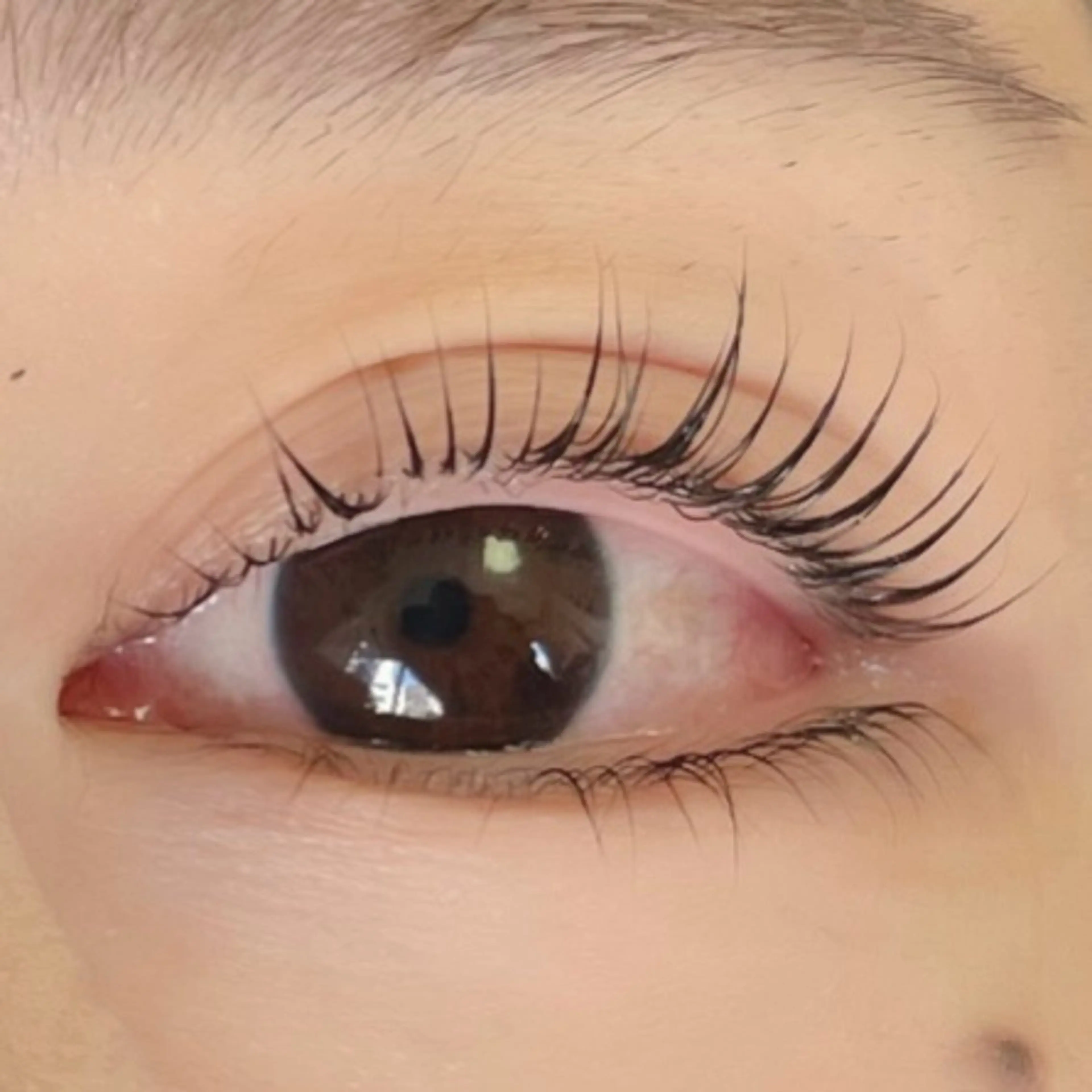 マツエク・マツパ Moe/韓国風/ 束感/キュート❤︎のマツエク・マツパデザイン