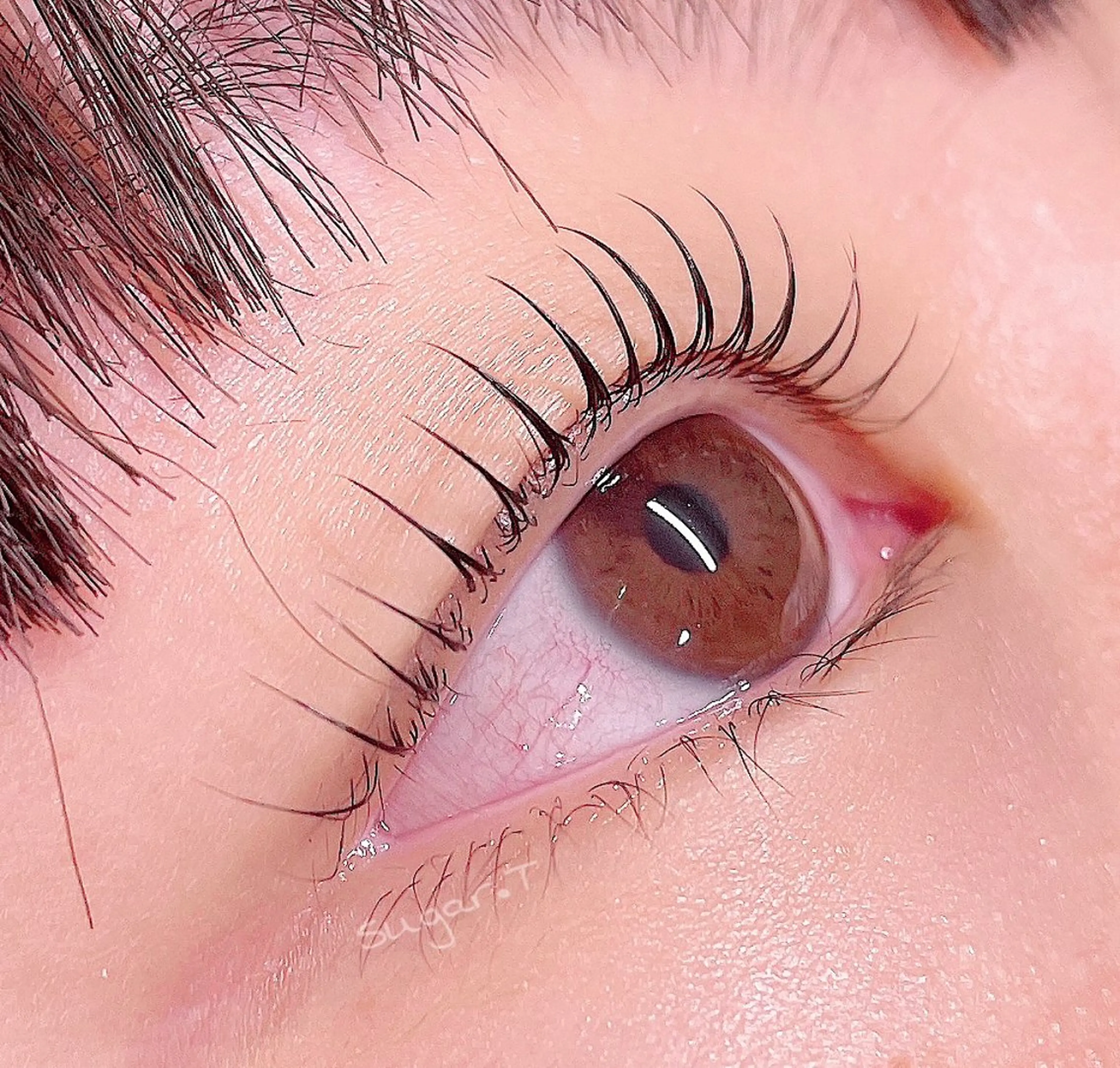 マツエク・マツパ sugar ただのマツエク・マツパデザイン