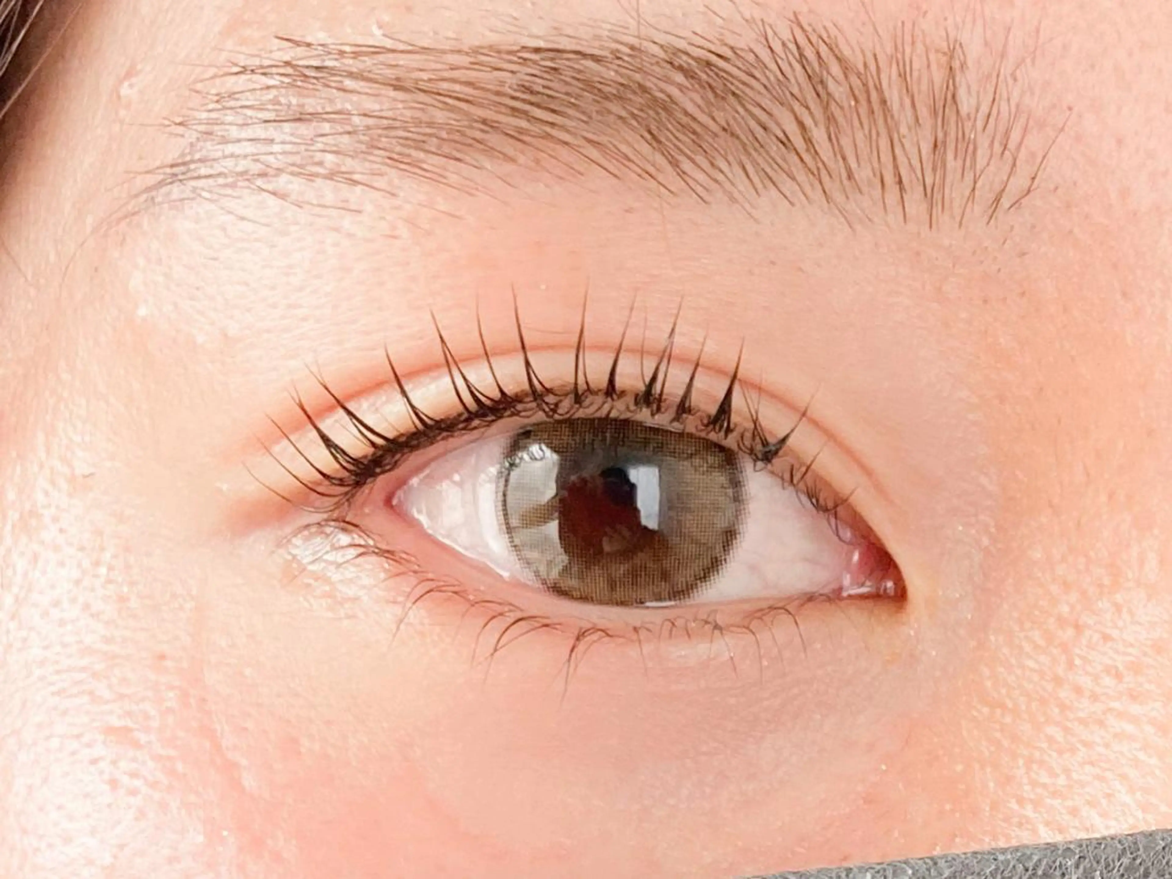 マツエク・マツパ マツパ トレヴァーデルチザン inuiのマツエク・マツパデザイン