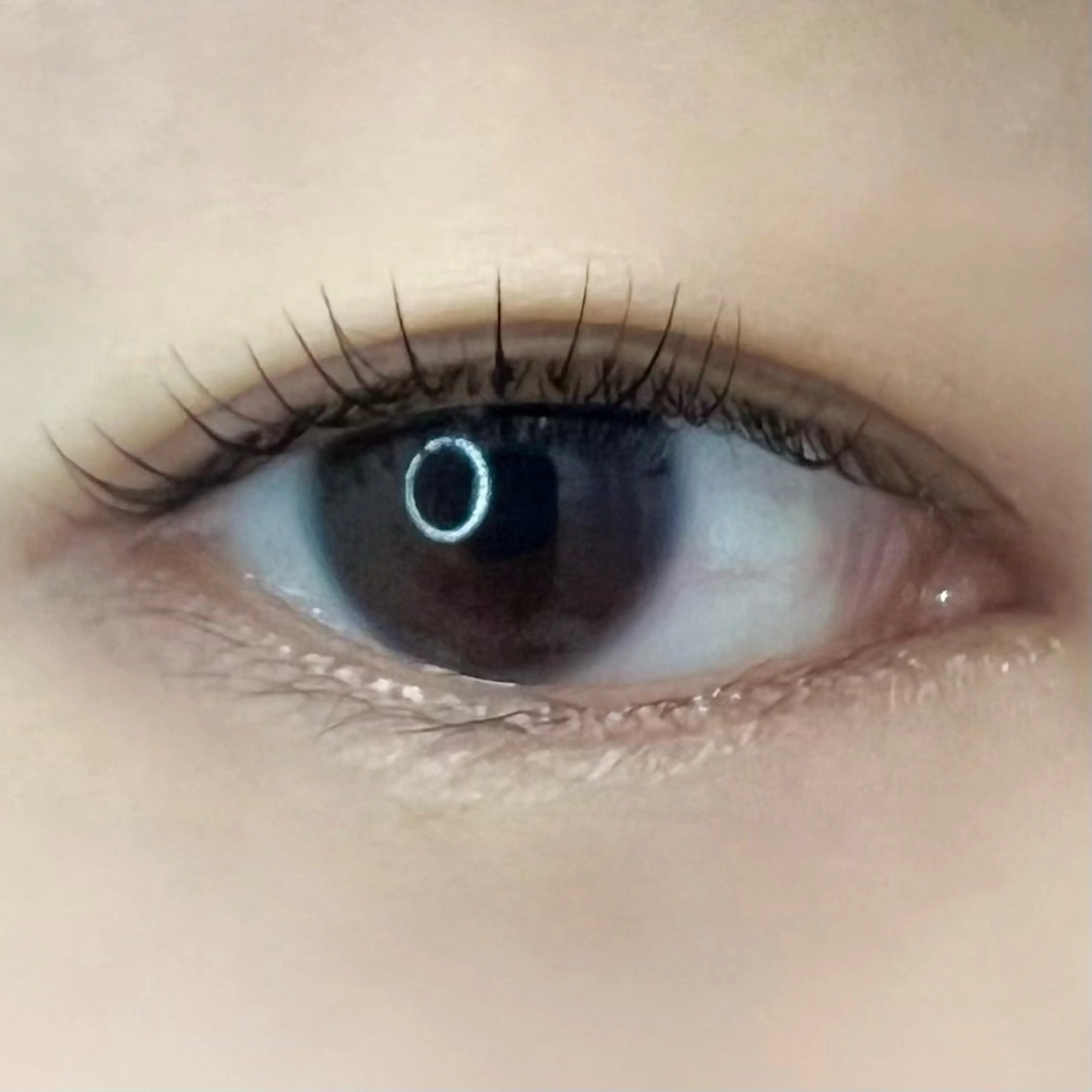 マツエク・マツパ JESSICA荻窪 川窪のマツエク・マツパデザイン