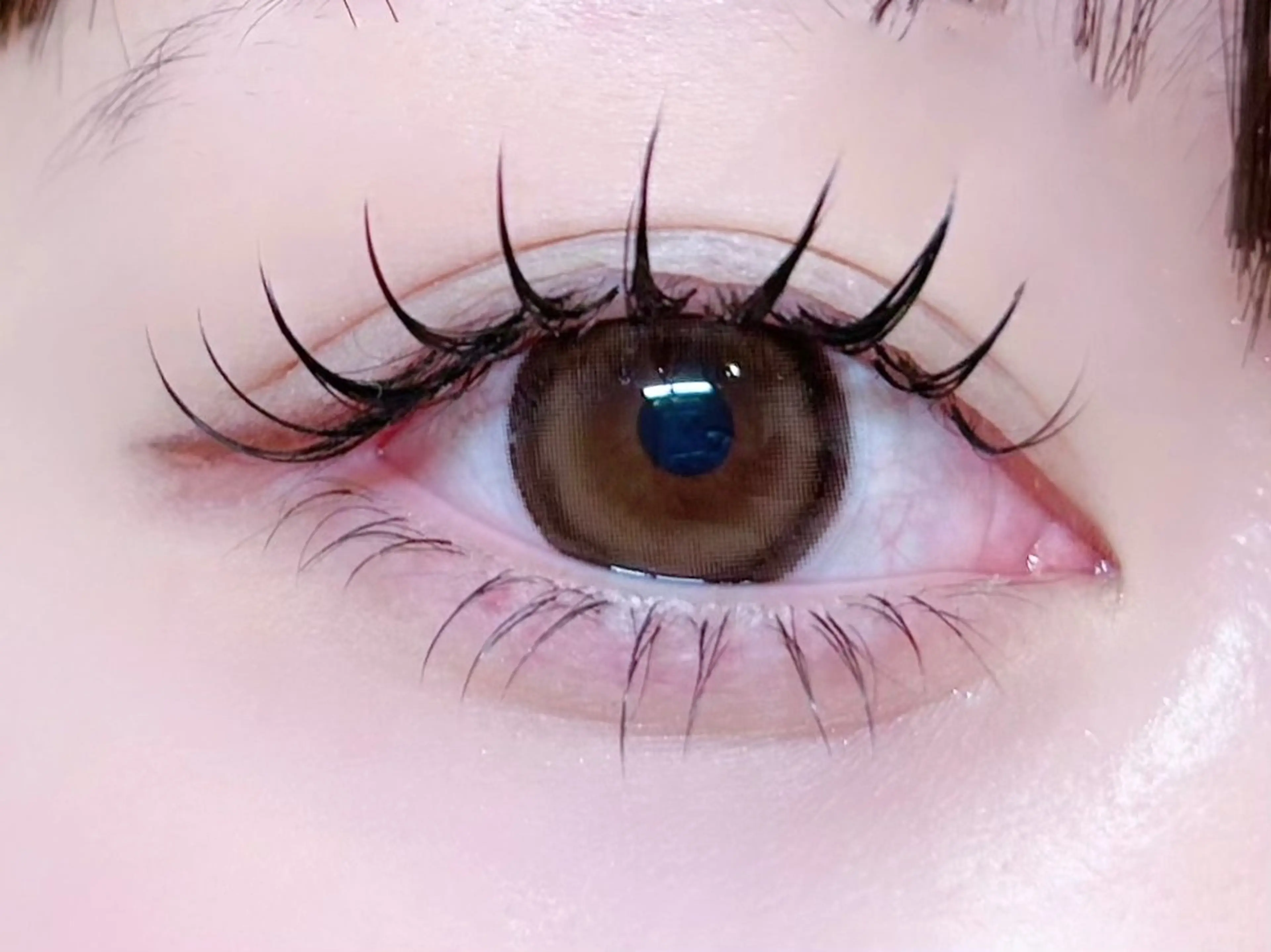 【2.3回目限定25%オフ】バインドロック120束✨の写真