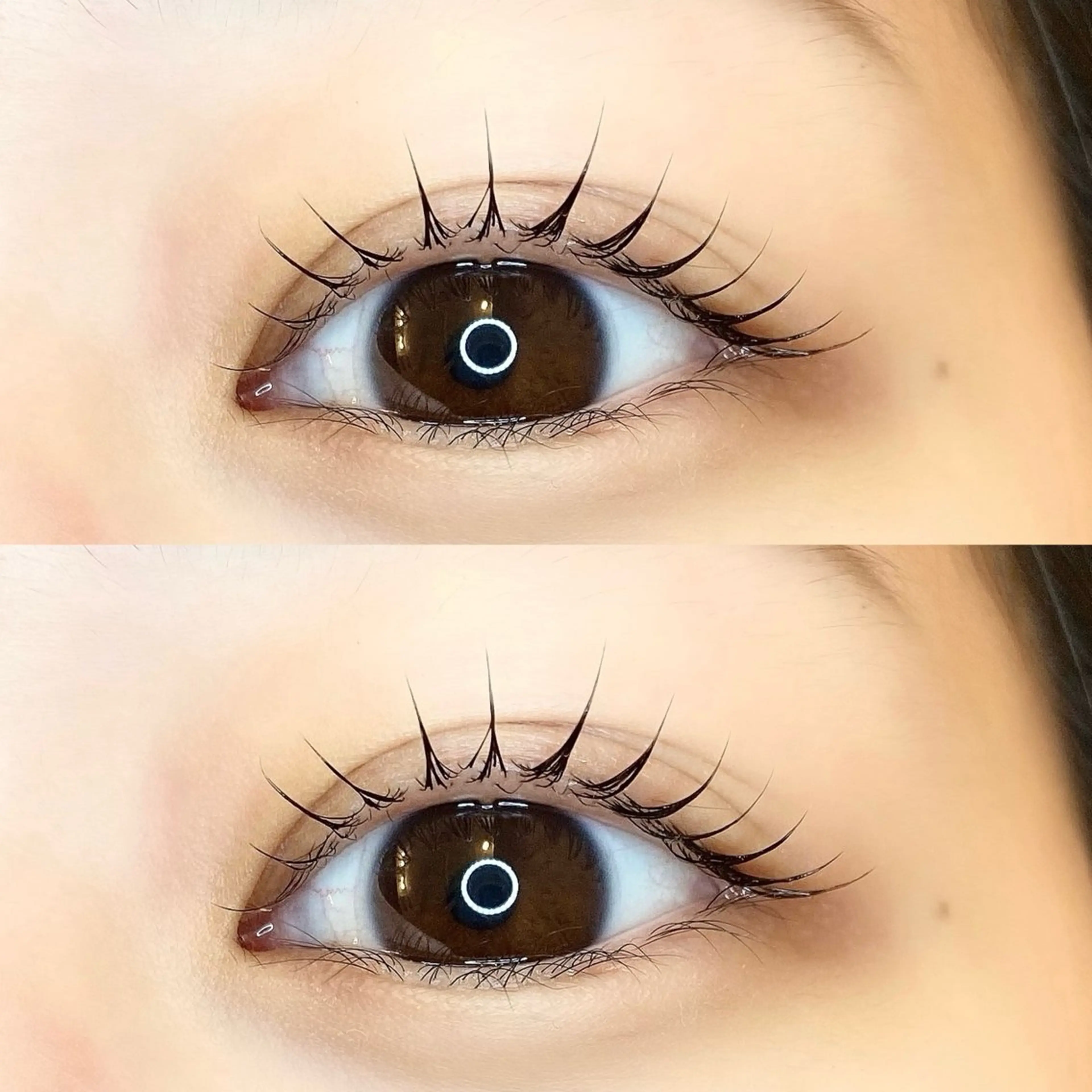 マツエク・マツパ マツパ 韓国束感まつ毛 💫 本町 淀屋橋/留美のマツエク・マツパデザイン