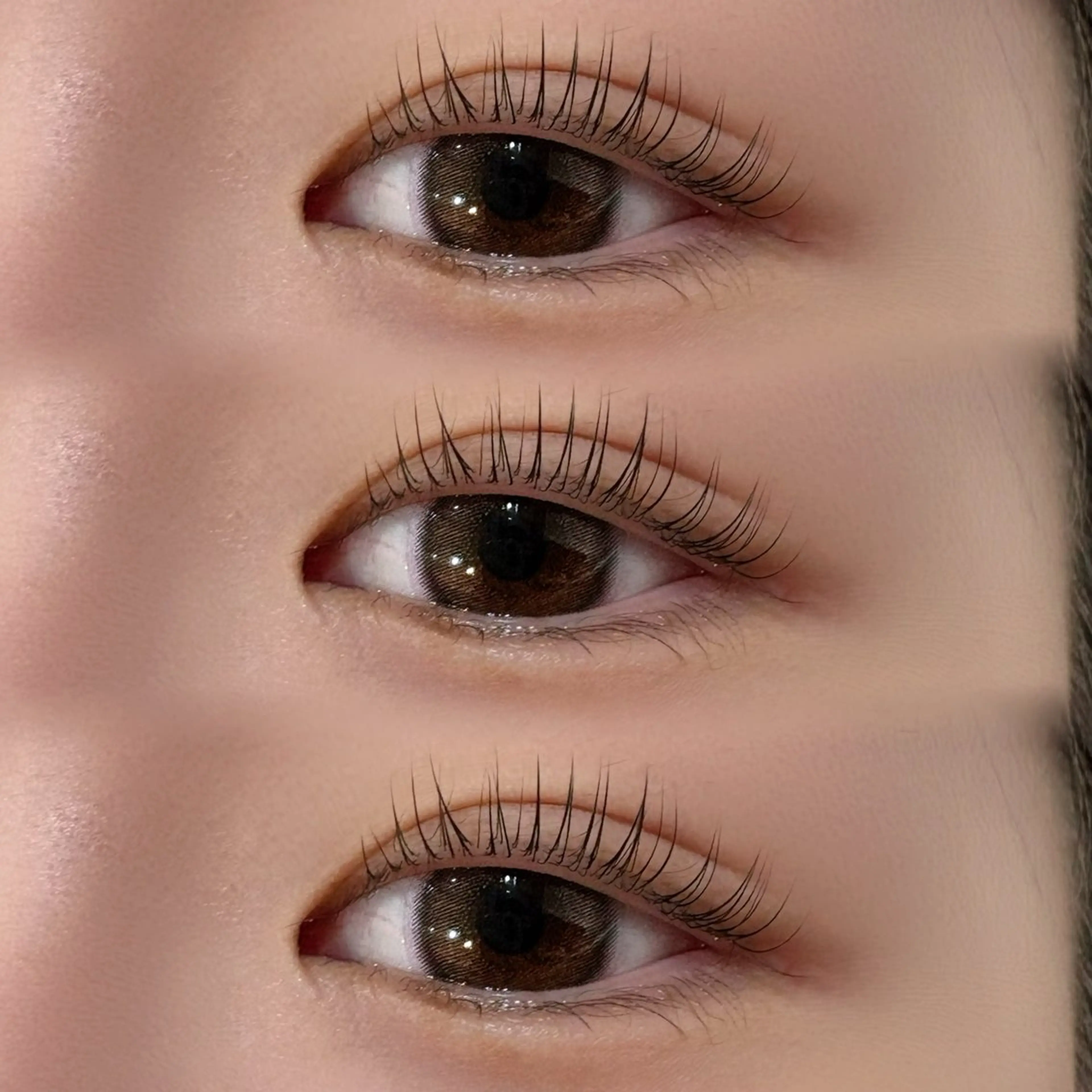 【🌟ミニモ限定🌟】🎀パリジェンヌラッシュリフト🎀の写真