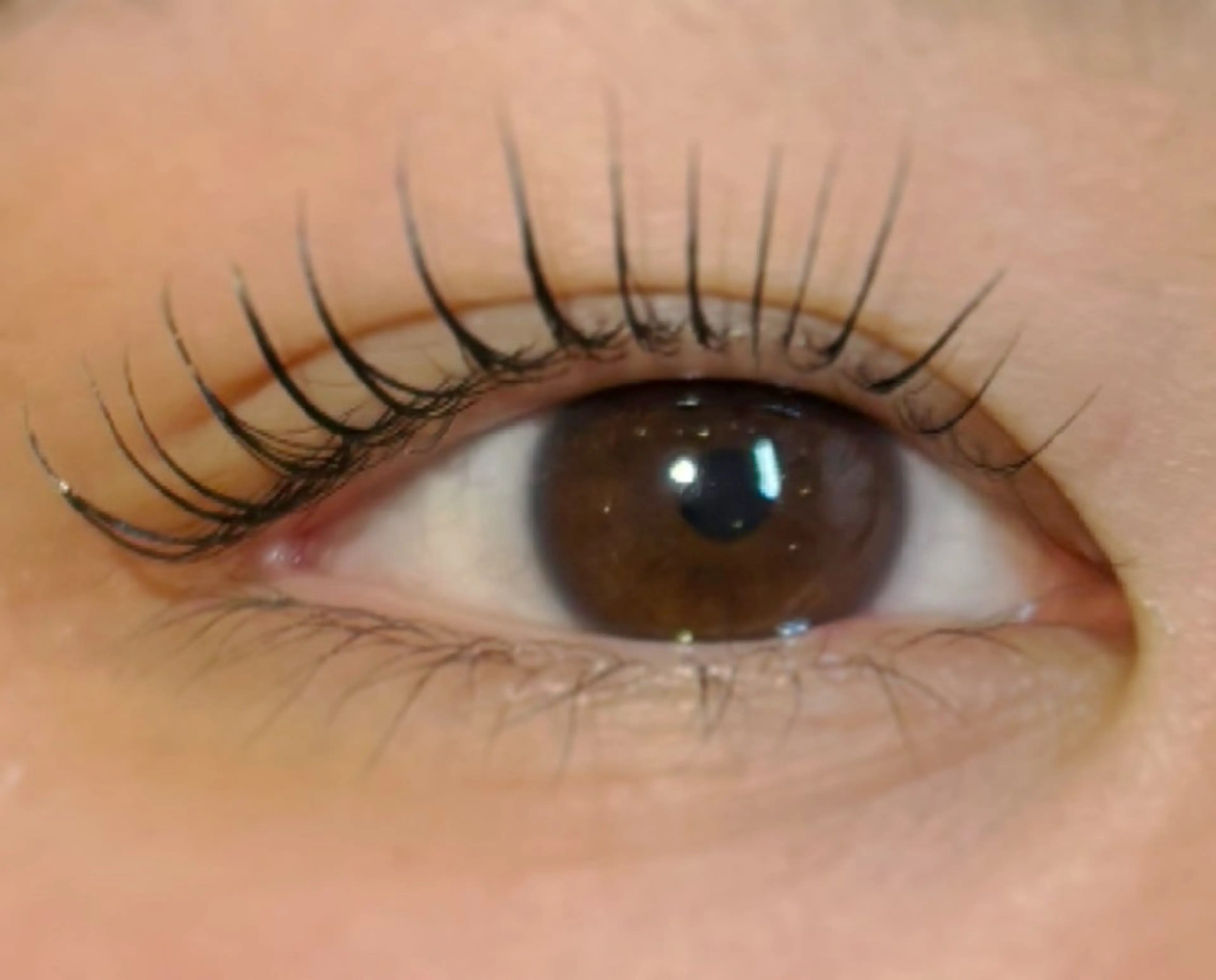 マツエク・マツパ まつげパーマ LocoMoco 進藤のマツエク・マツパデザイン