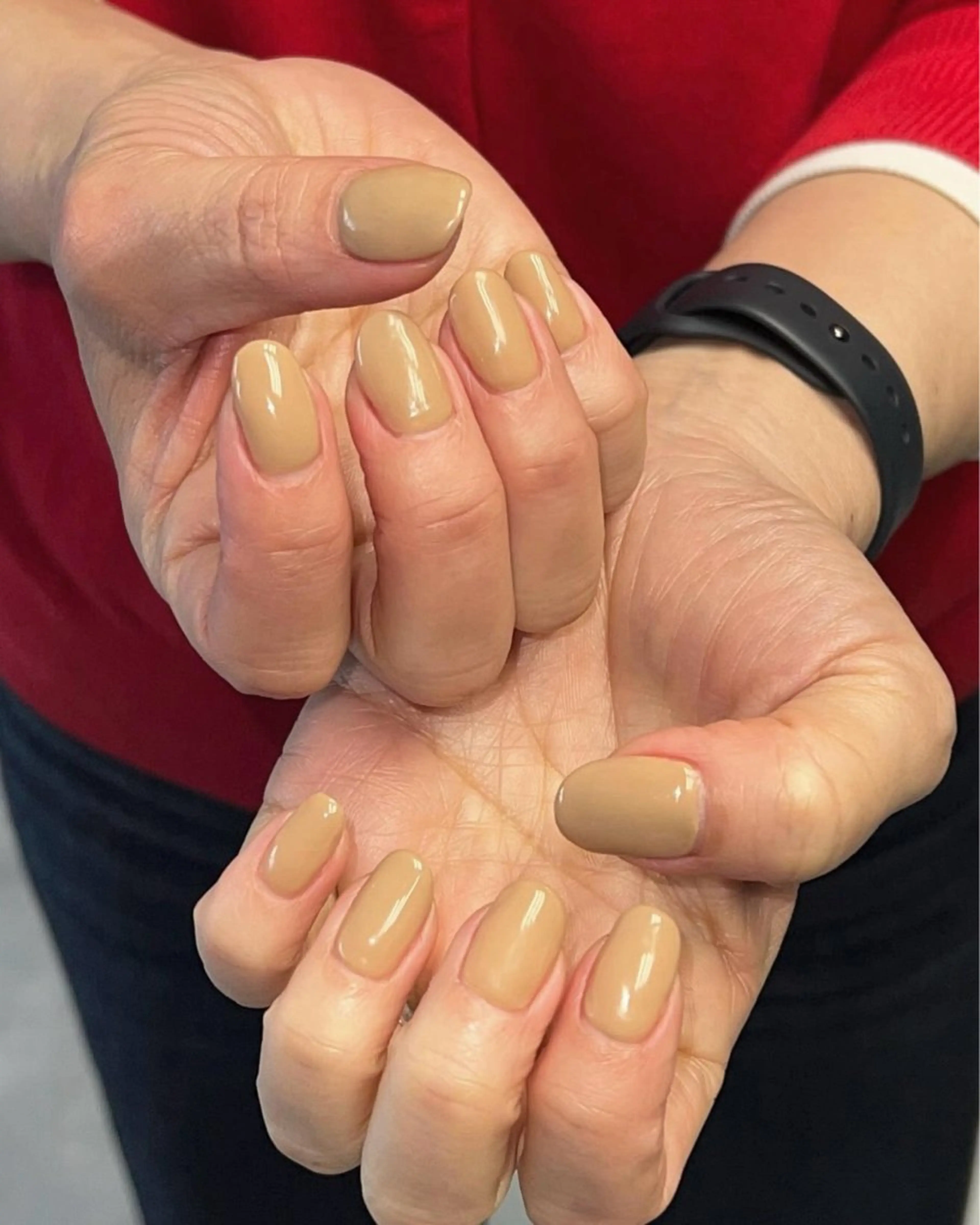 オフ有り　ワンカラーの写真