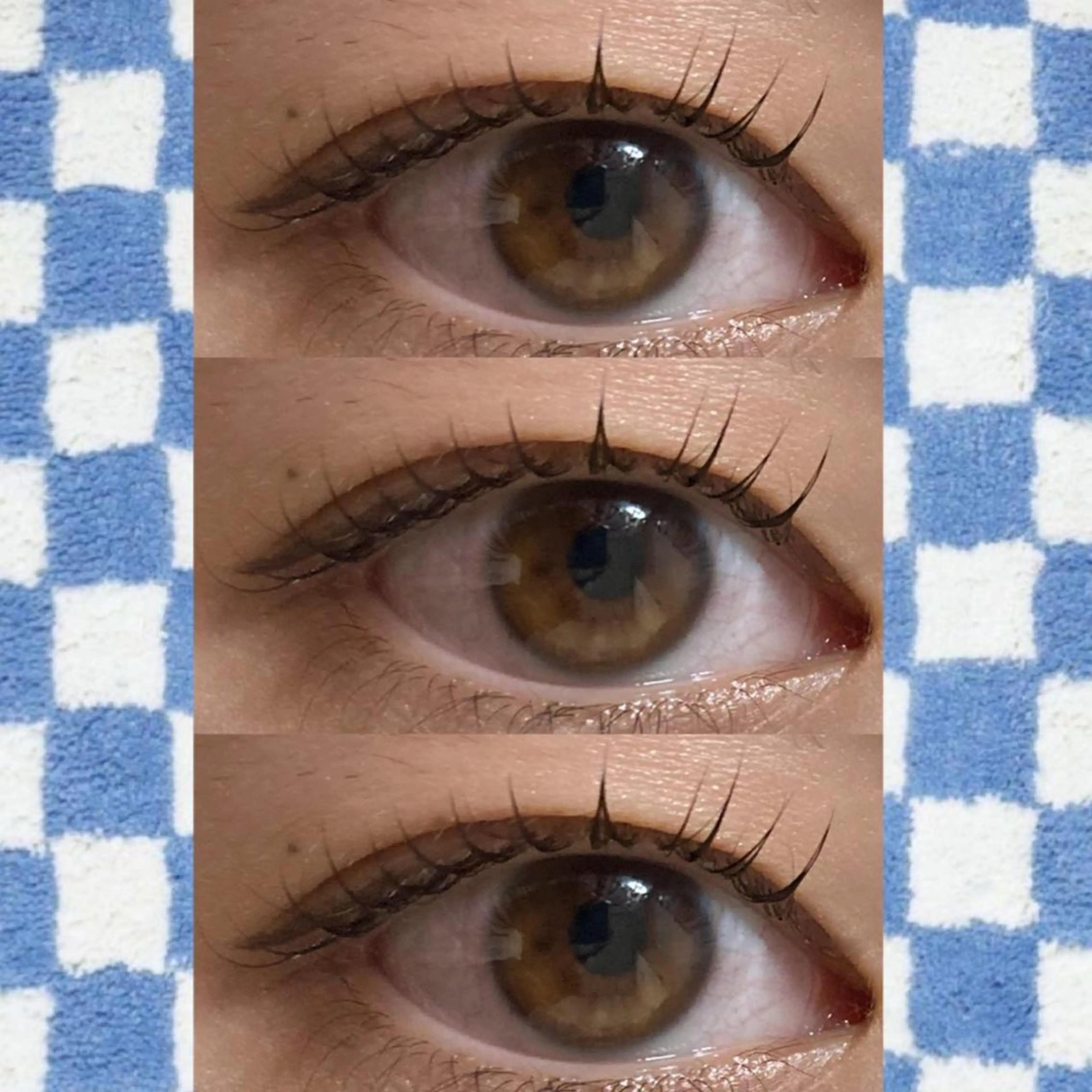 マツエク・マツパ ブラウンラッシュ カラーマツエク フラットラッシュ 韓国風マツエク まつげパーマ orihara𐙚 まつげパーマ/眉毛のマツエク・マツパデザイン