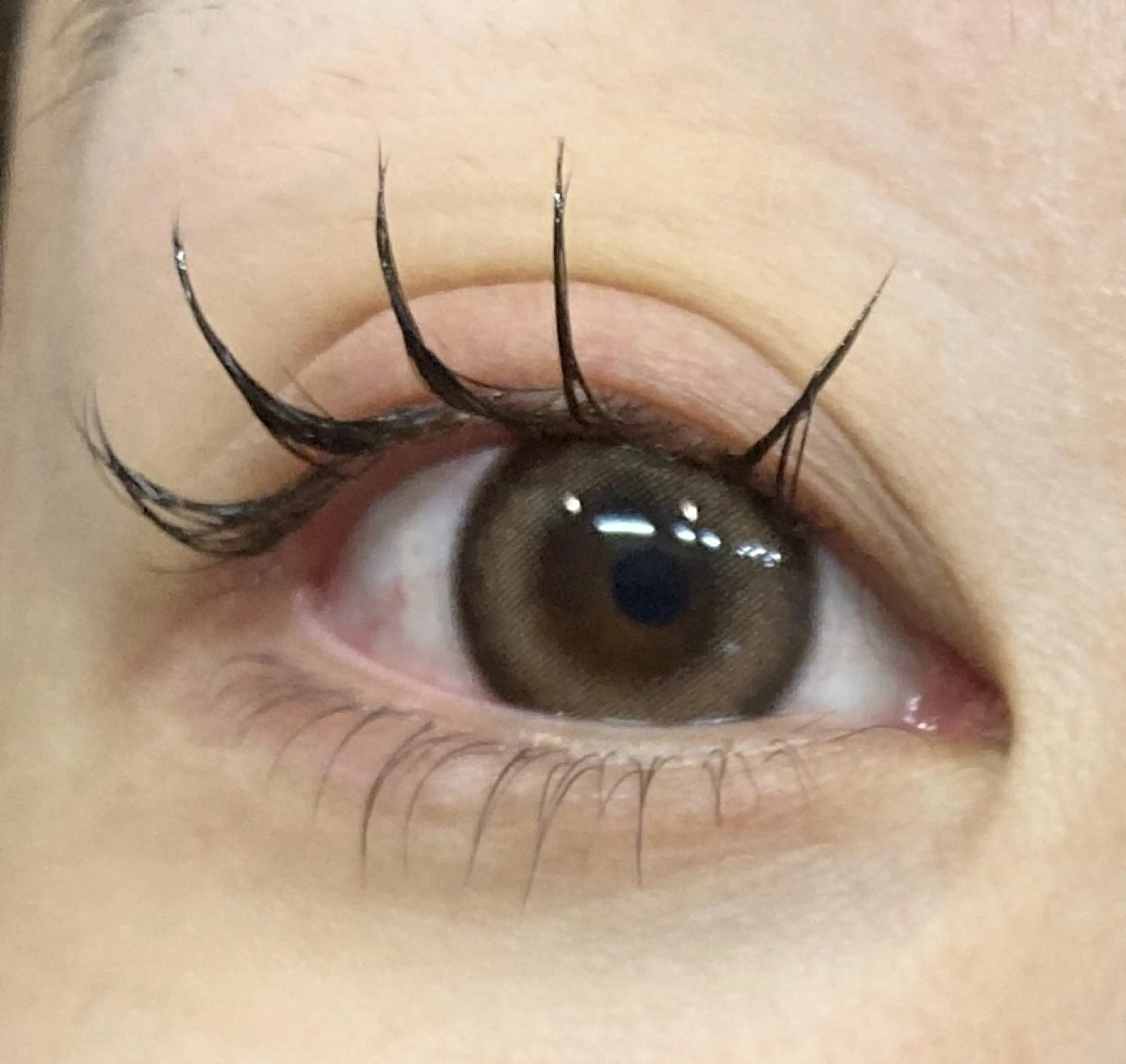 💎エクステ×まつげパーマの同時施術✨&Healthy フラットラッシュ100本(120本ご希望の場合＋500円)の写真