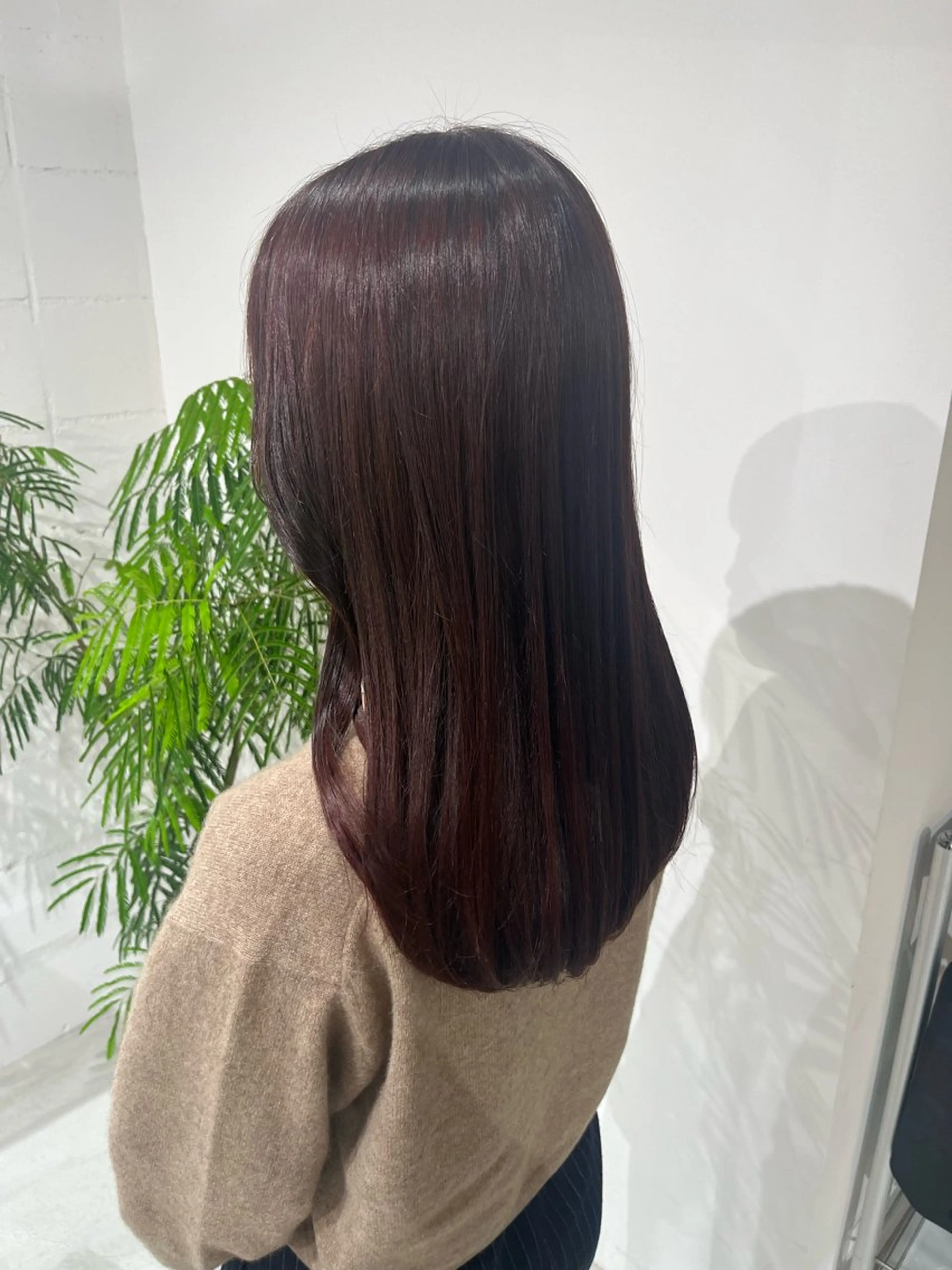 🫧似合わせワンカラー🫧の写真