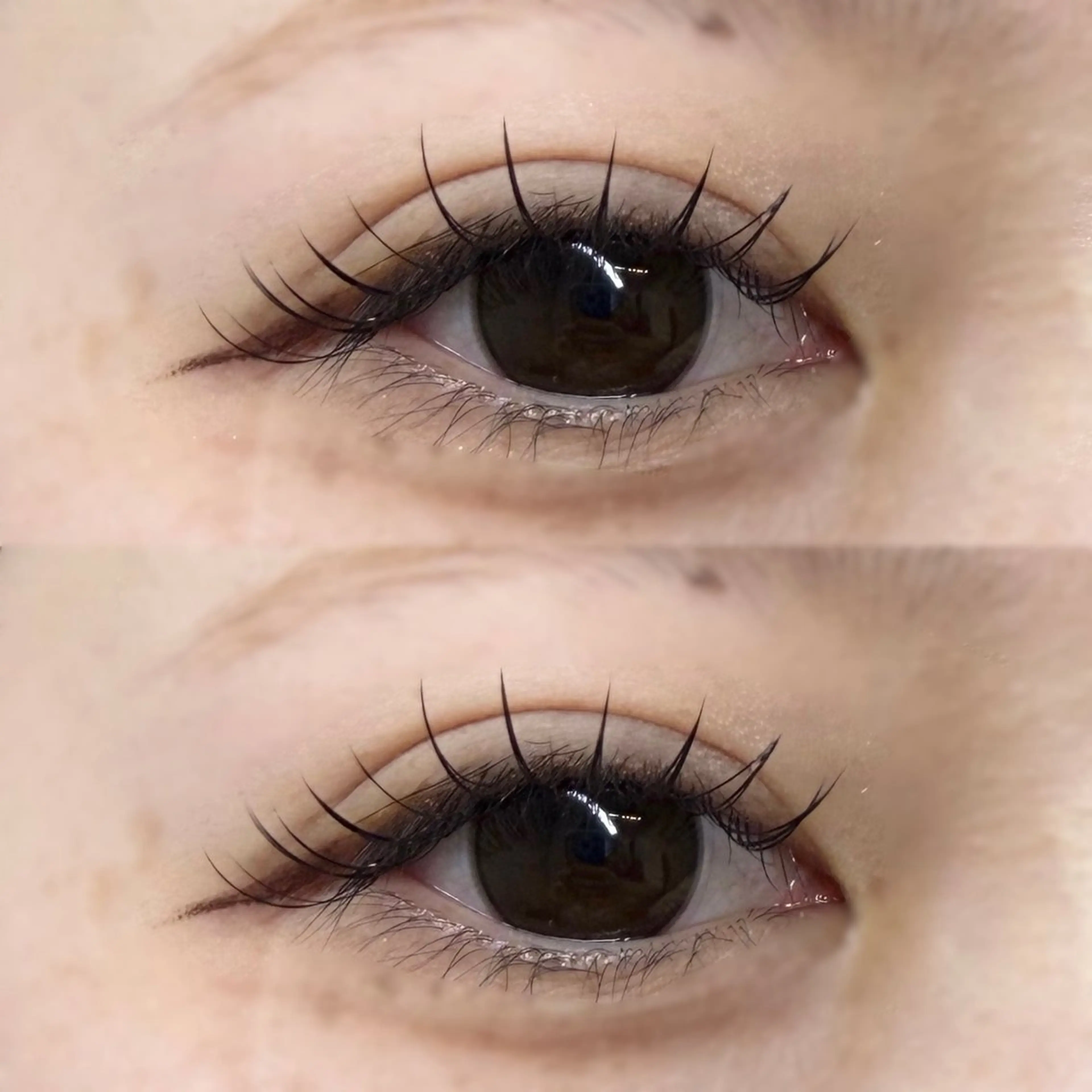 フラットラッシュ120本✨の写真