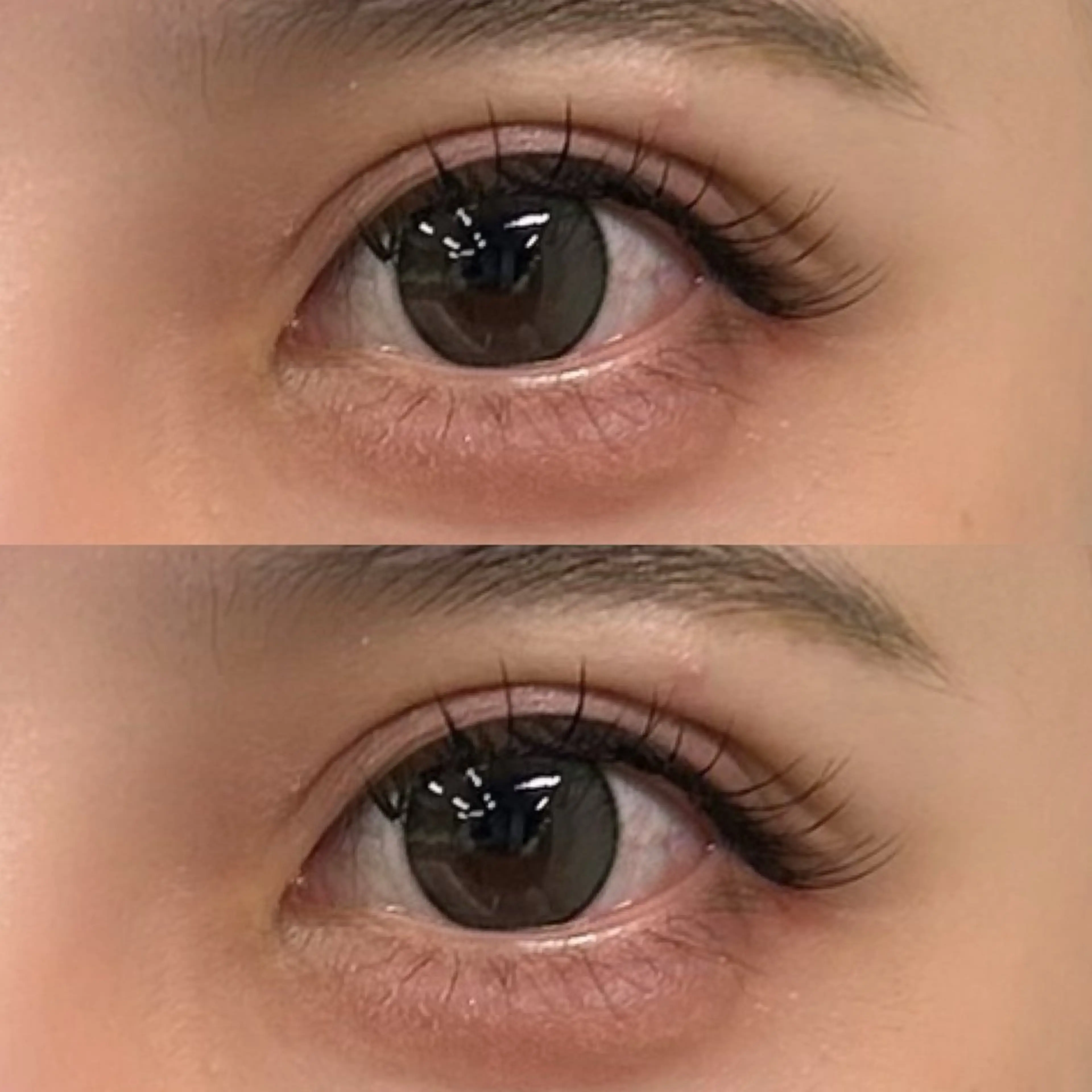 🎀バインドロック　60束🎀練習モデルの写真