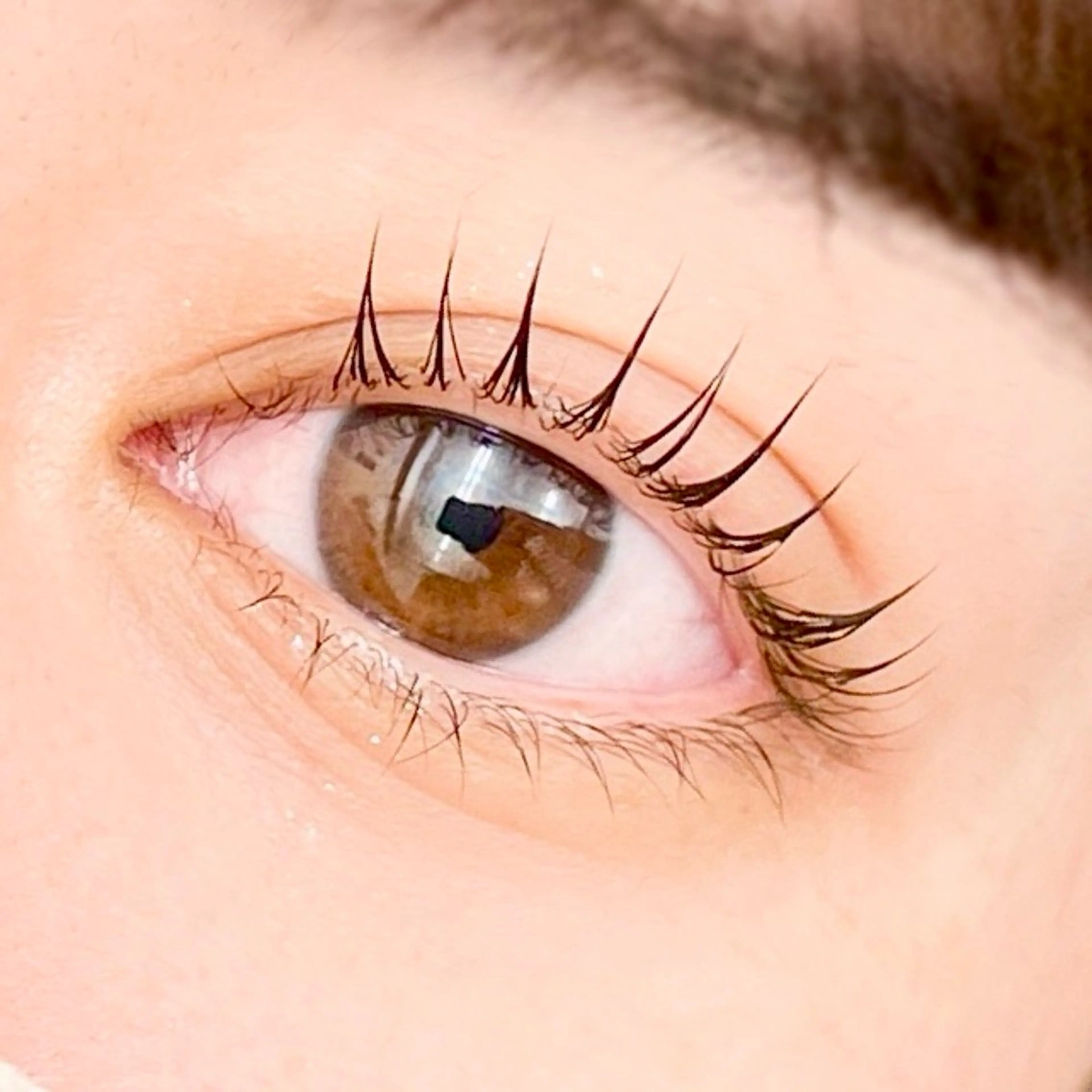 韓国で大人気のマスカラパーマ🇰🇷【ブラックティント】の写真