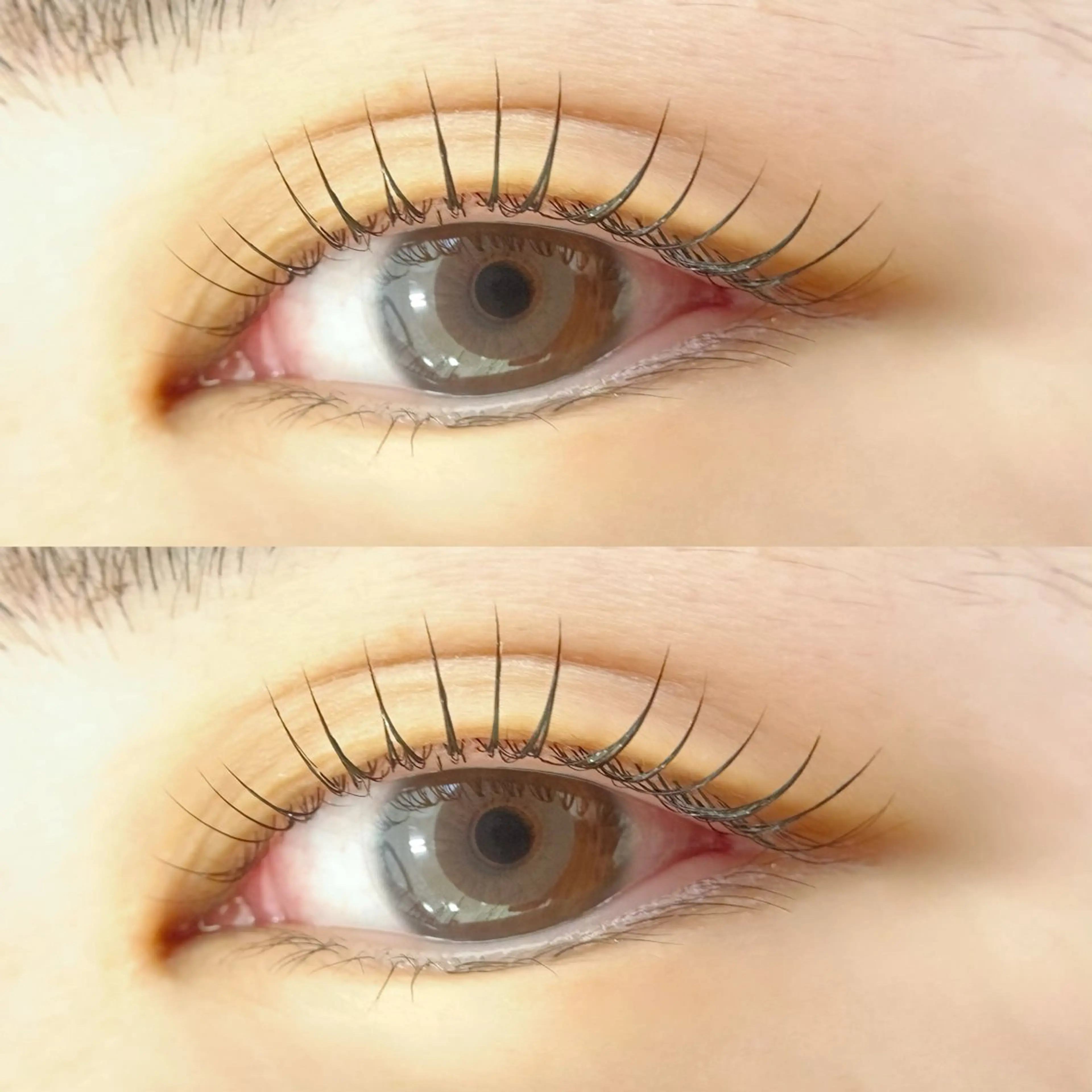 マツエク・マツパ 束感まつ毛 マツパ 【Natully】 Ami🧸のマツエク・マツパデザイン