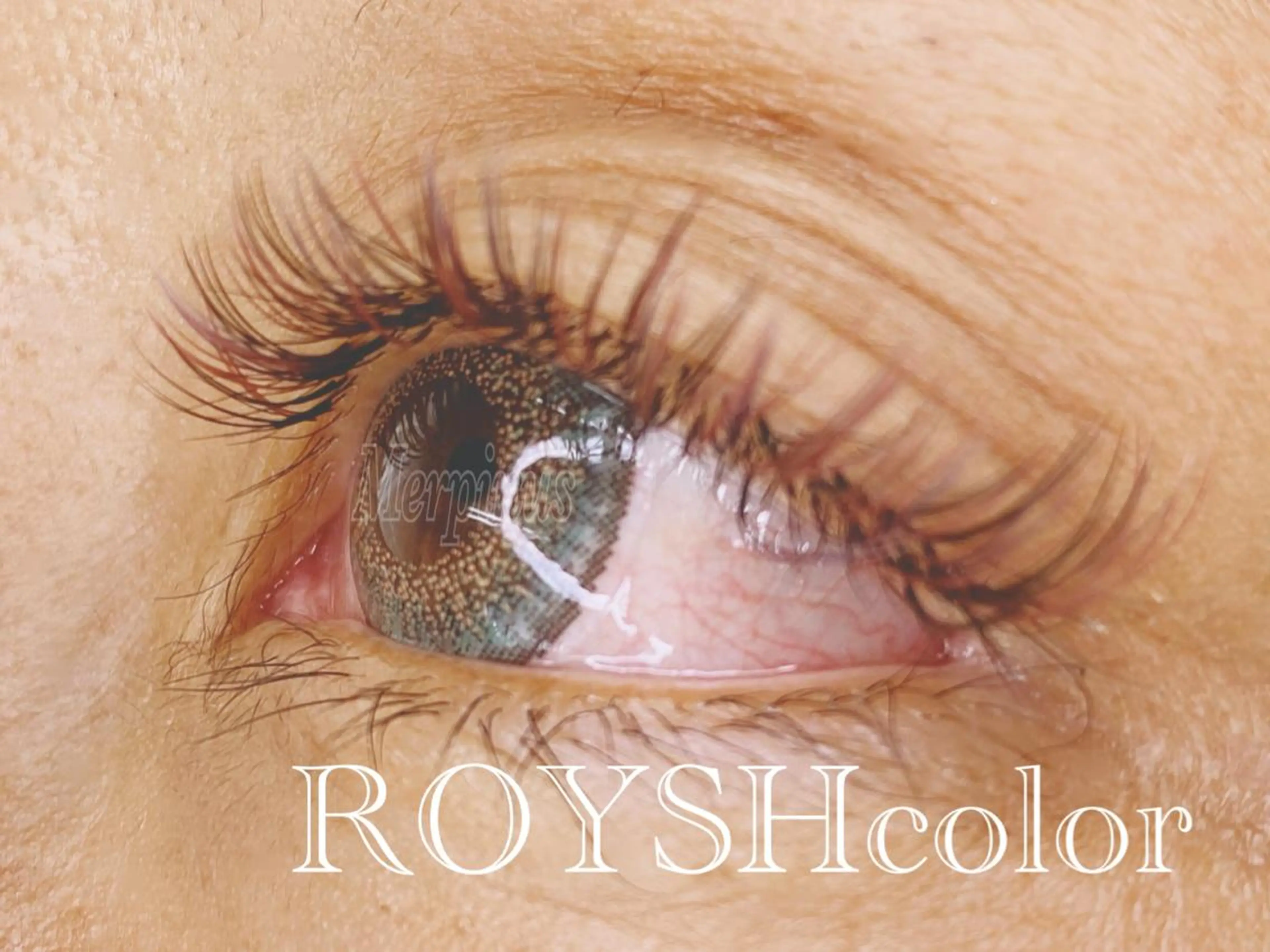 マツエク・マツパ バインドロック Eyelash salon kukuna所属・まつ毛サロン Kukunaのマツエク・マツパデザイン