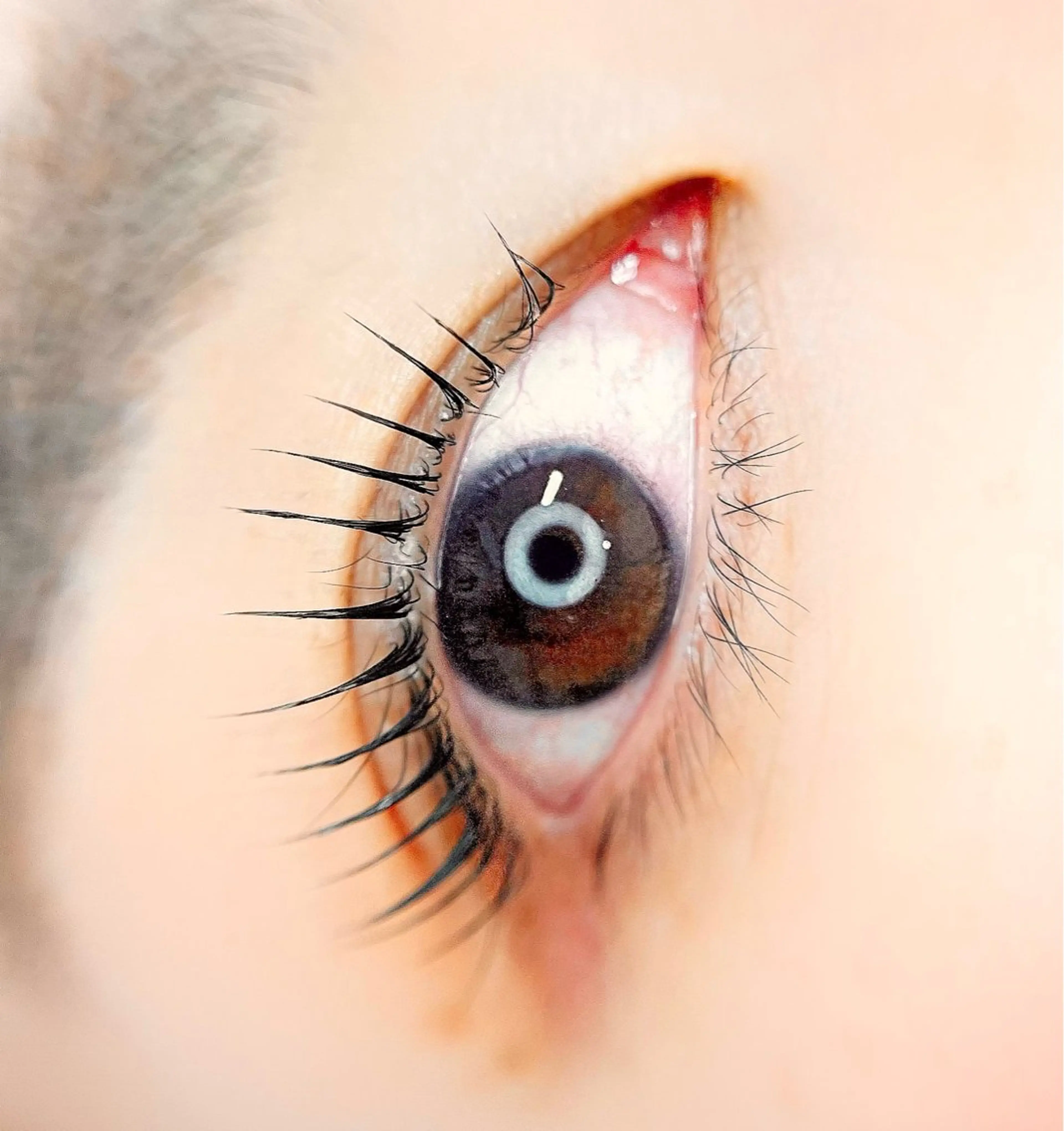 マツエク・マツパ un par un アンパルアン所属・un par unの眉毛・アイブロウイメージ