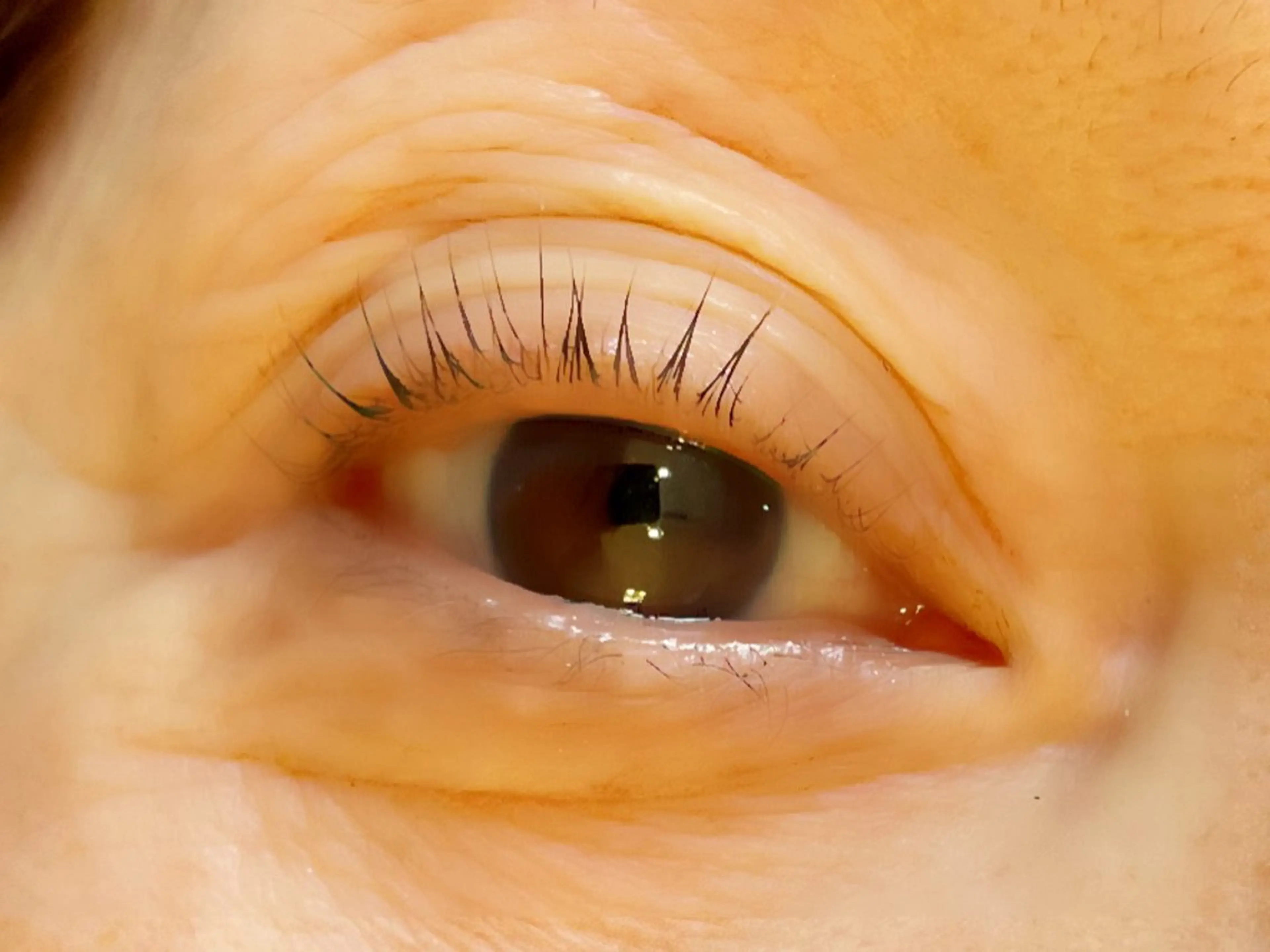 マツエク・マツパ マツパ Mresyume MAYUのマツエク・マツパデザイン