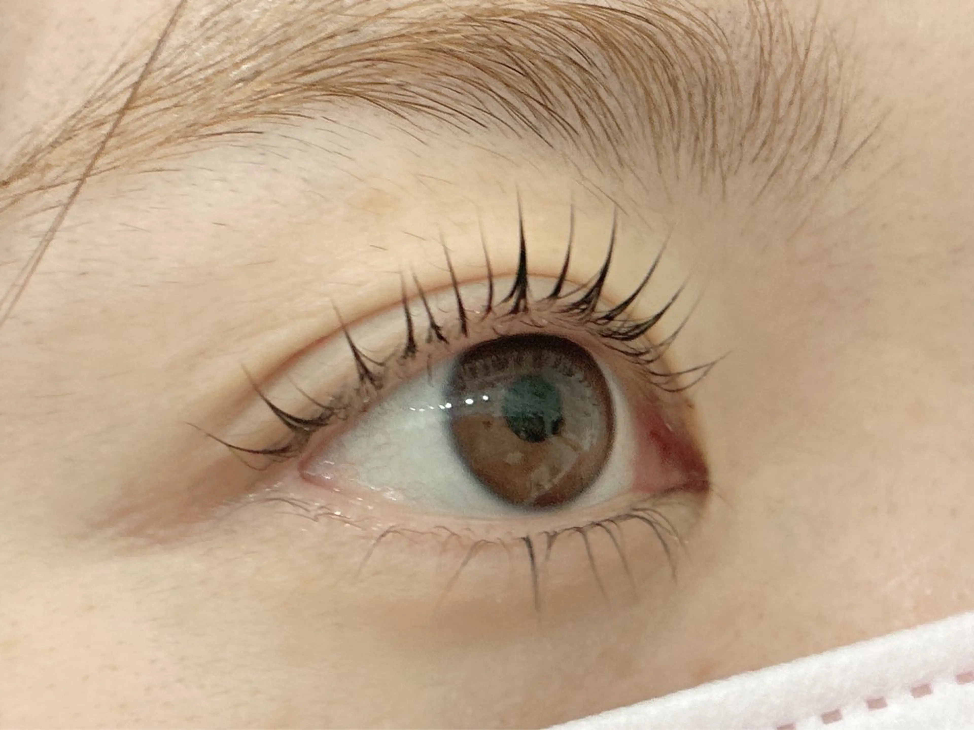 マツエク・マツパ マツパ マックス サロン東池袋のマツエク・マツパデザイン