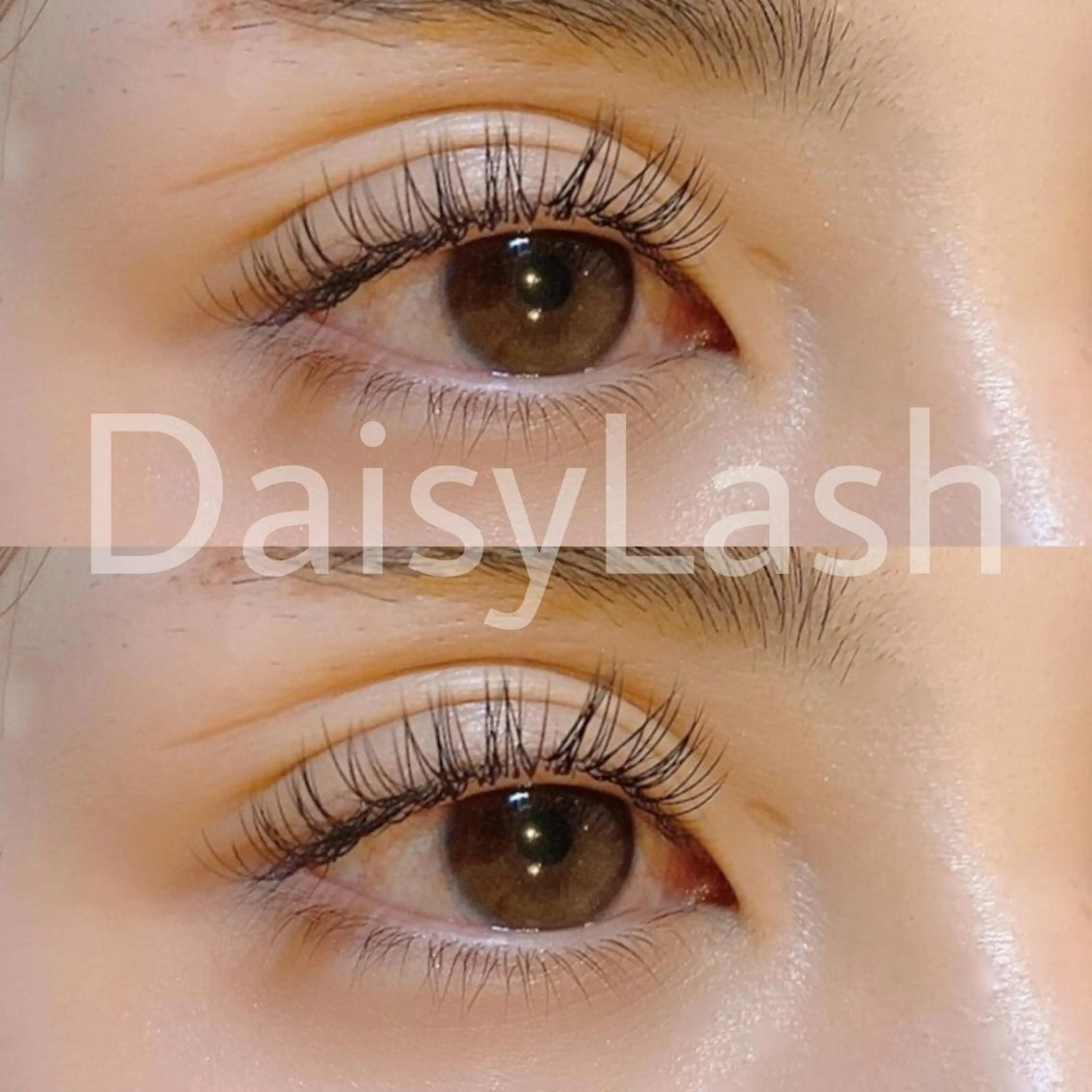 マツエク・マツパ DaisyLash 京橋店のマツエク・マツパデザイン