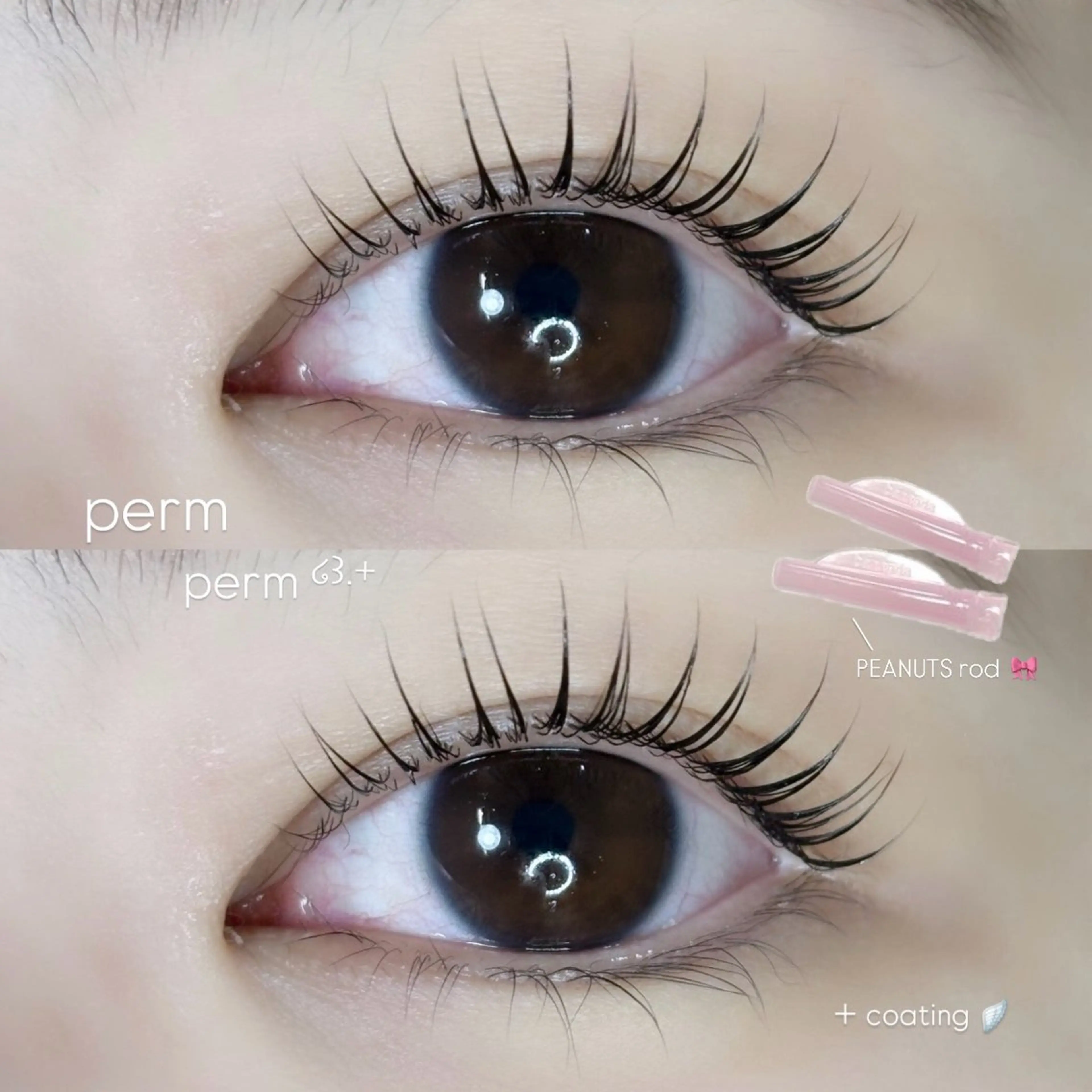 【新規】網紅/ワンホンまつ毛パーマ🇰🇷🎀の写真