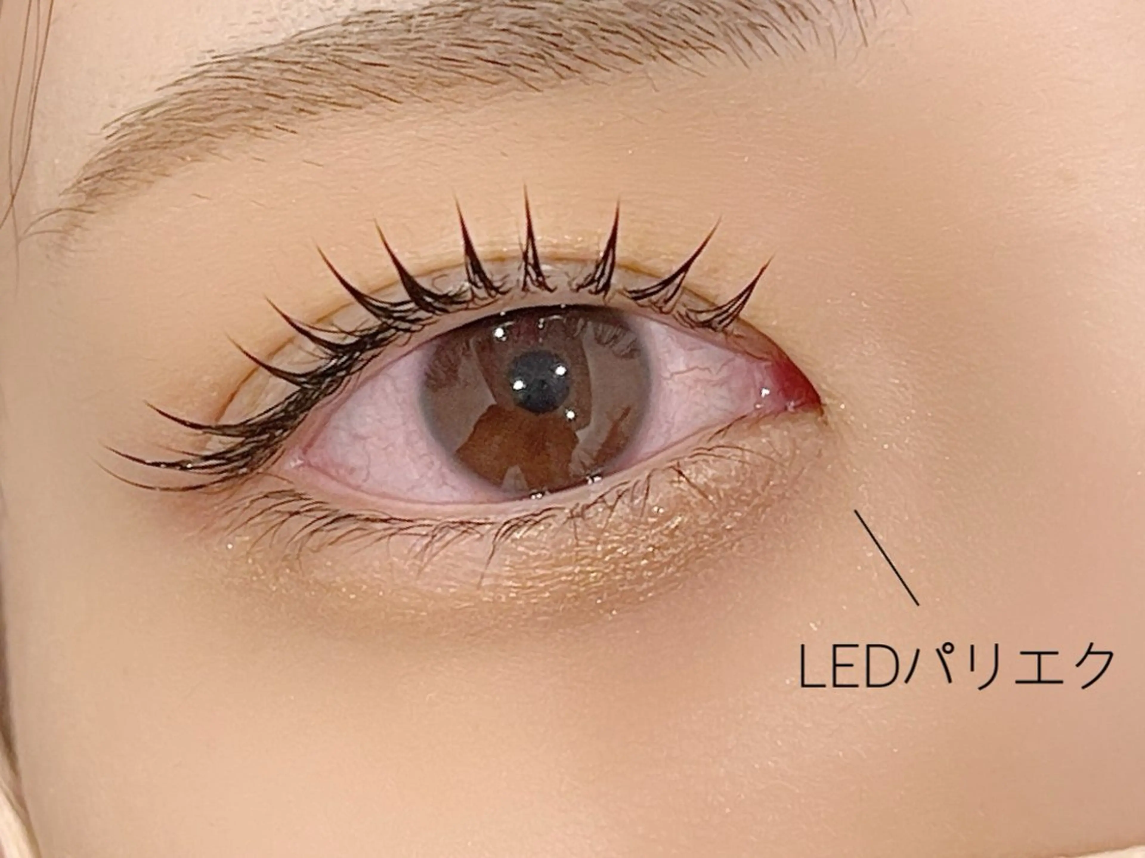 マツエク・マツパ フラットラッシュ EYE405 fukuyamaのマツエク・マツパデザイン