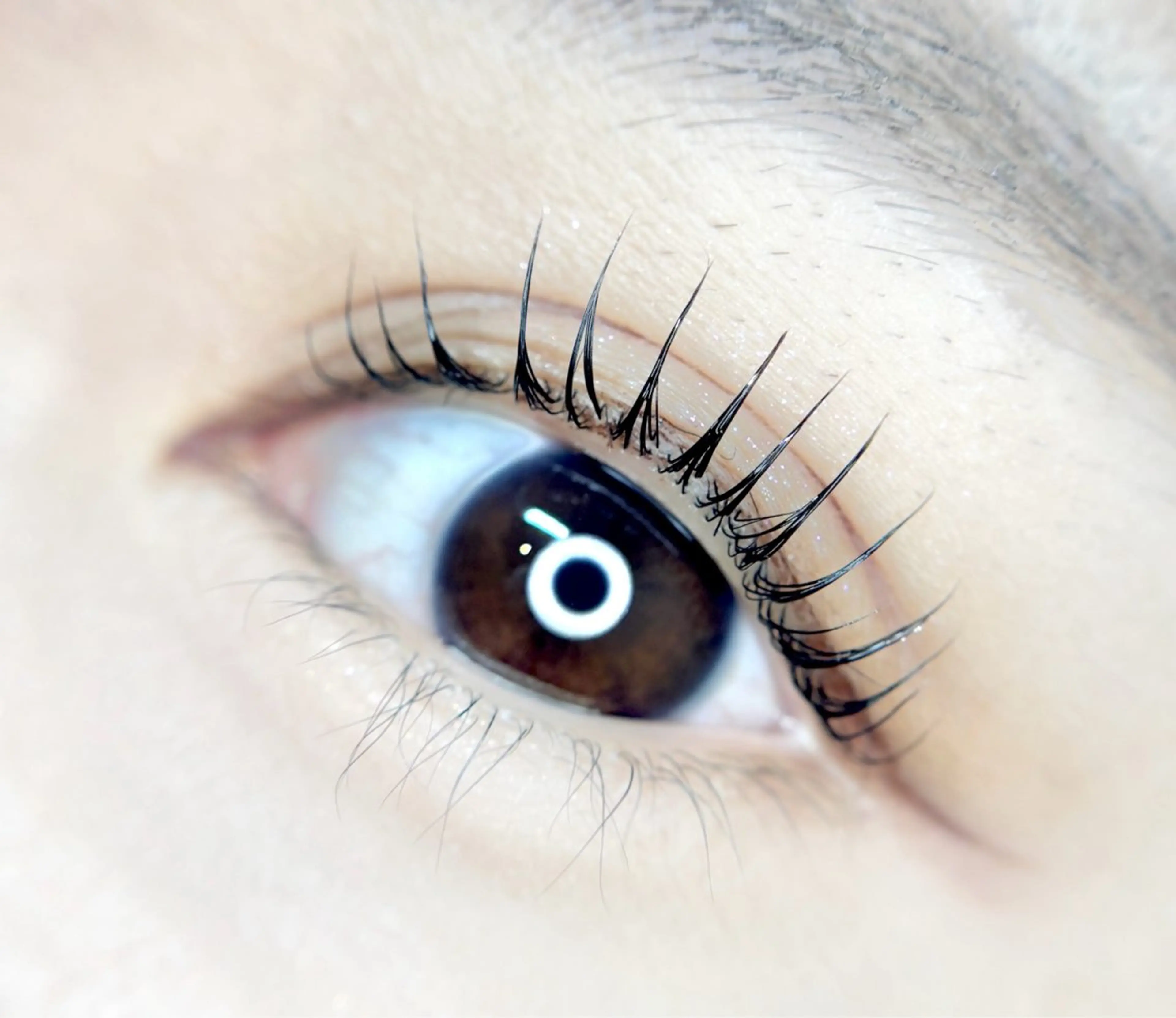 マツエク・マツパ ナチュラル パリジェンヌラッシュリフト まつげパーマ 一重×まつ毛パーマ マツパ 表参道eyelist KONOMIのマツエク・マツパデザイン