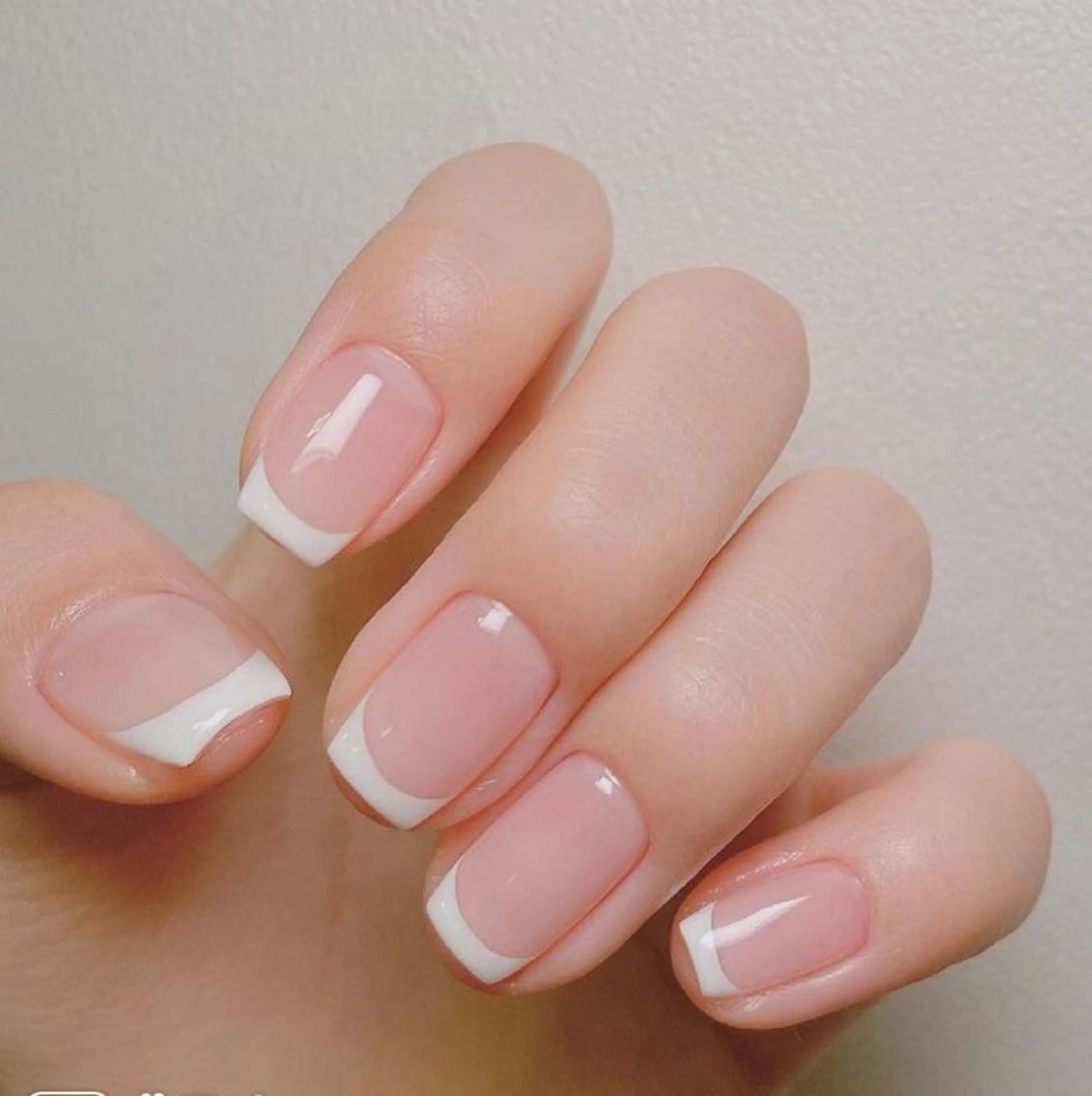 (オフなし)フレンチ/カラーグラデーションの写真