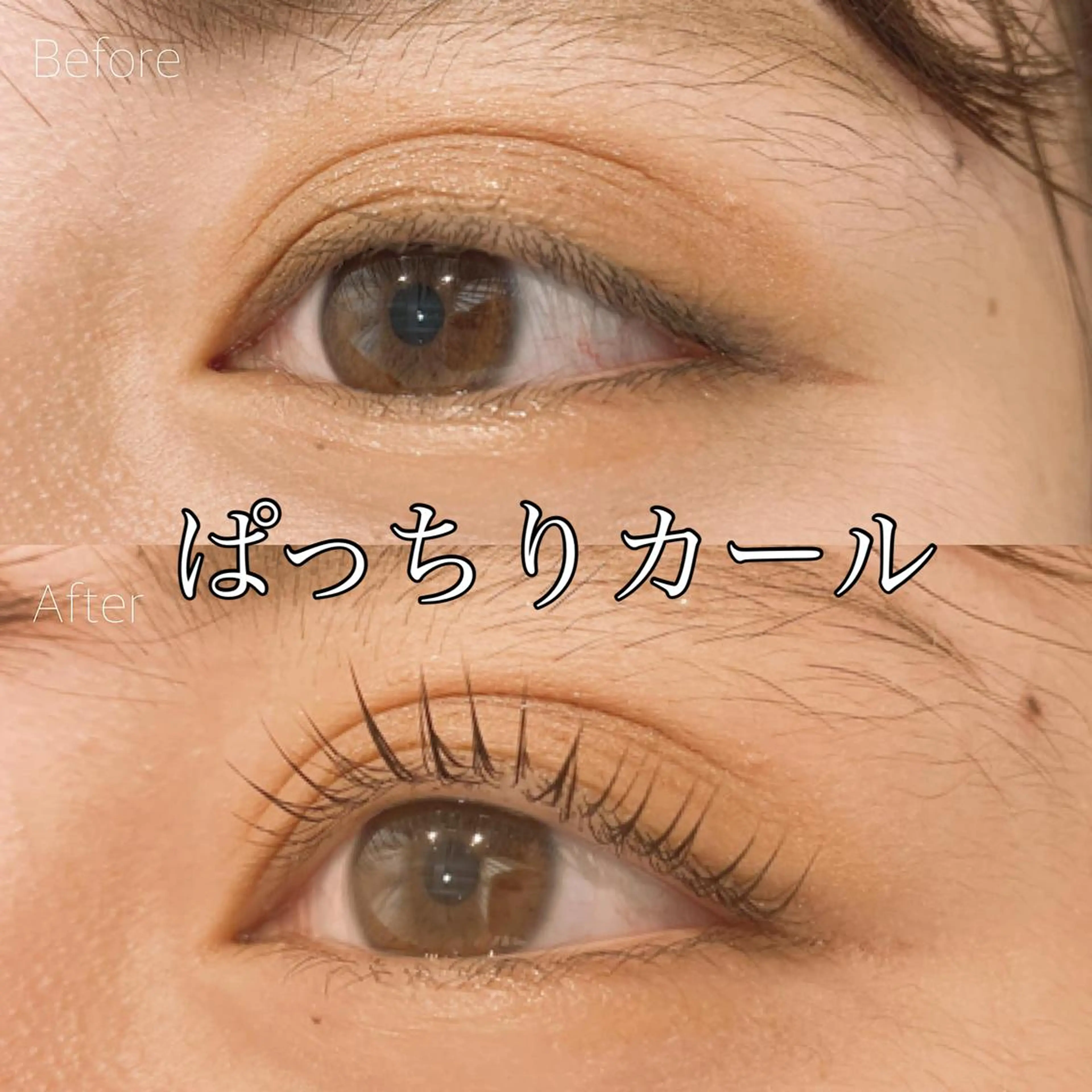 マツエク・マツパ まつげパーマ マツパ 超透明感カラー🦋韓 国羽エクステ🪽🫧のマツエク・マツパデザイン