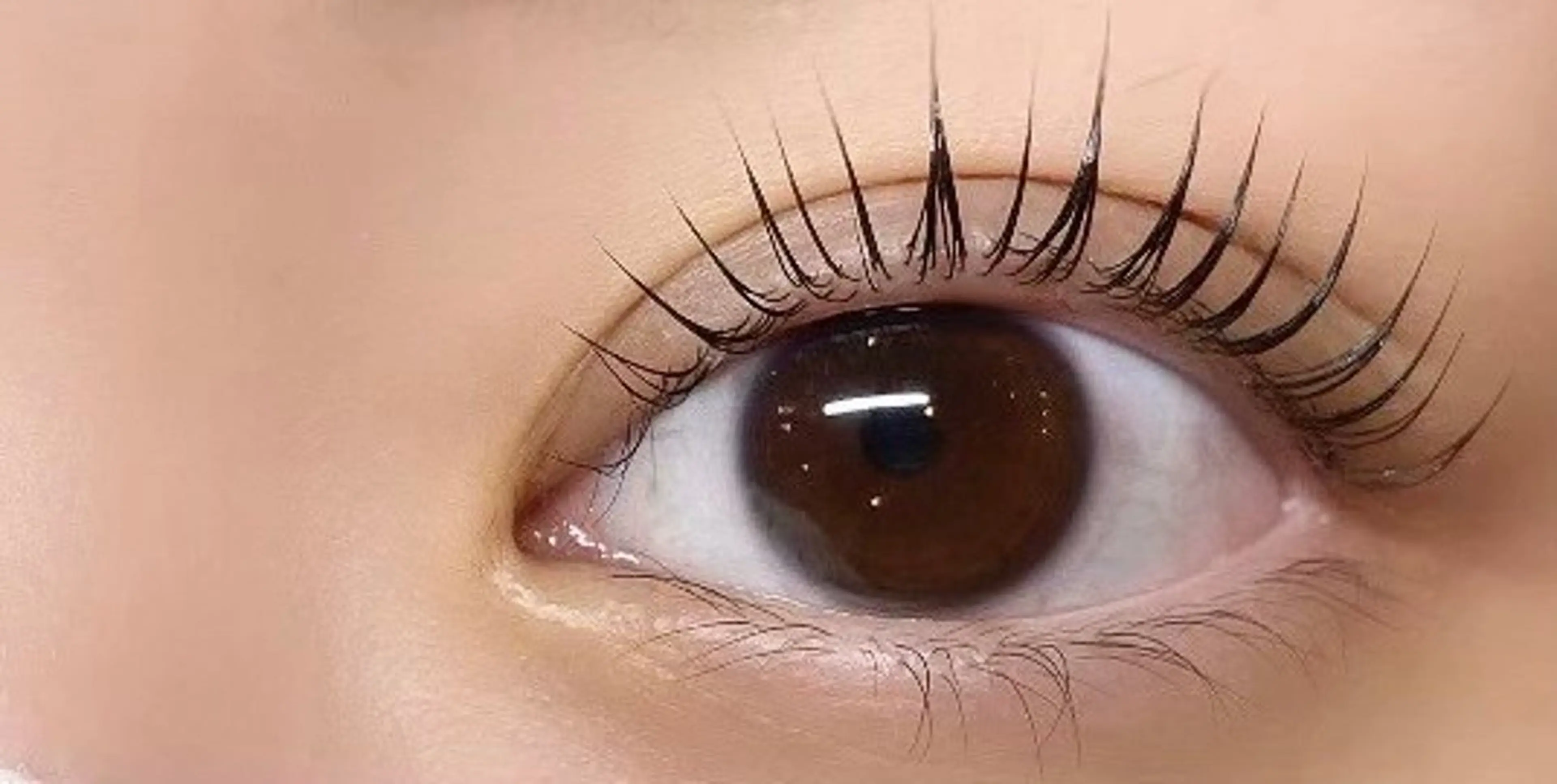 マツエク・マツパ Butterfly 有薗の眉毛・アイブロウイメージ