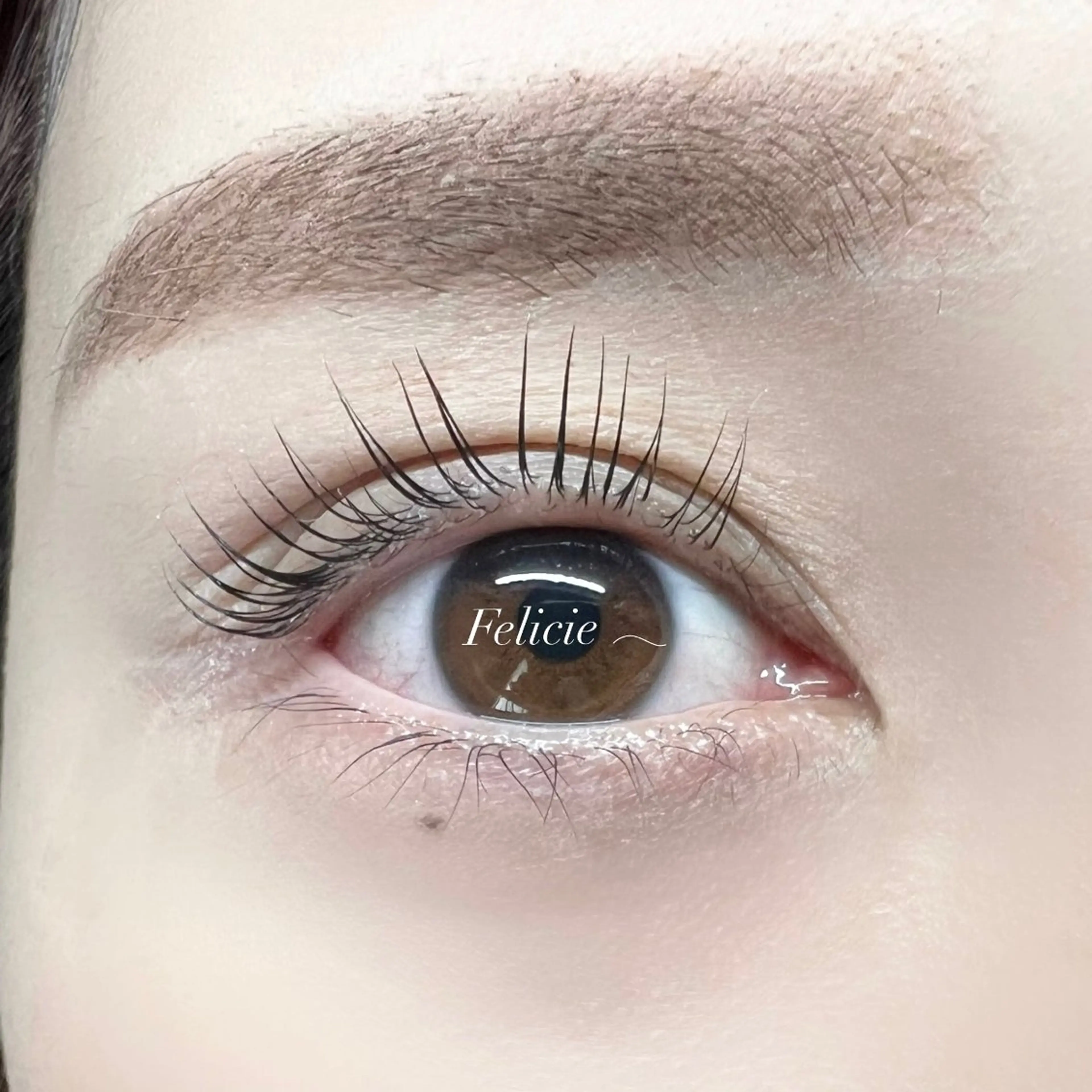 マツエク・マツパ パリジェンヌラッシュリフト マツパ Felicie＊ Sayakaのマツエク・マツパデザイン