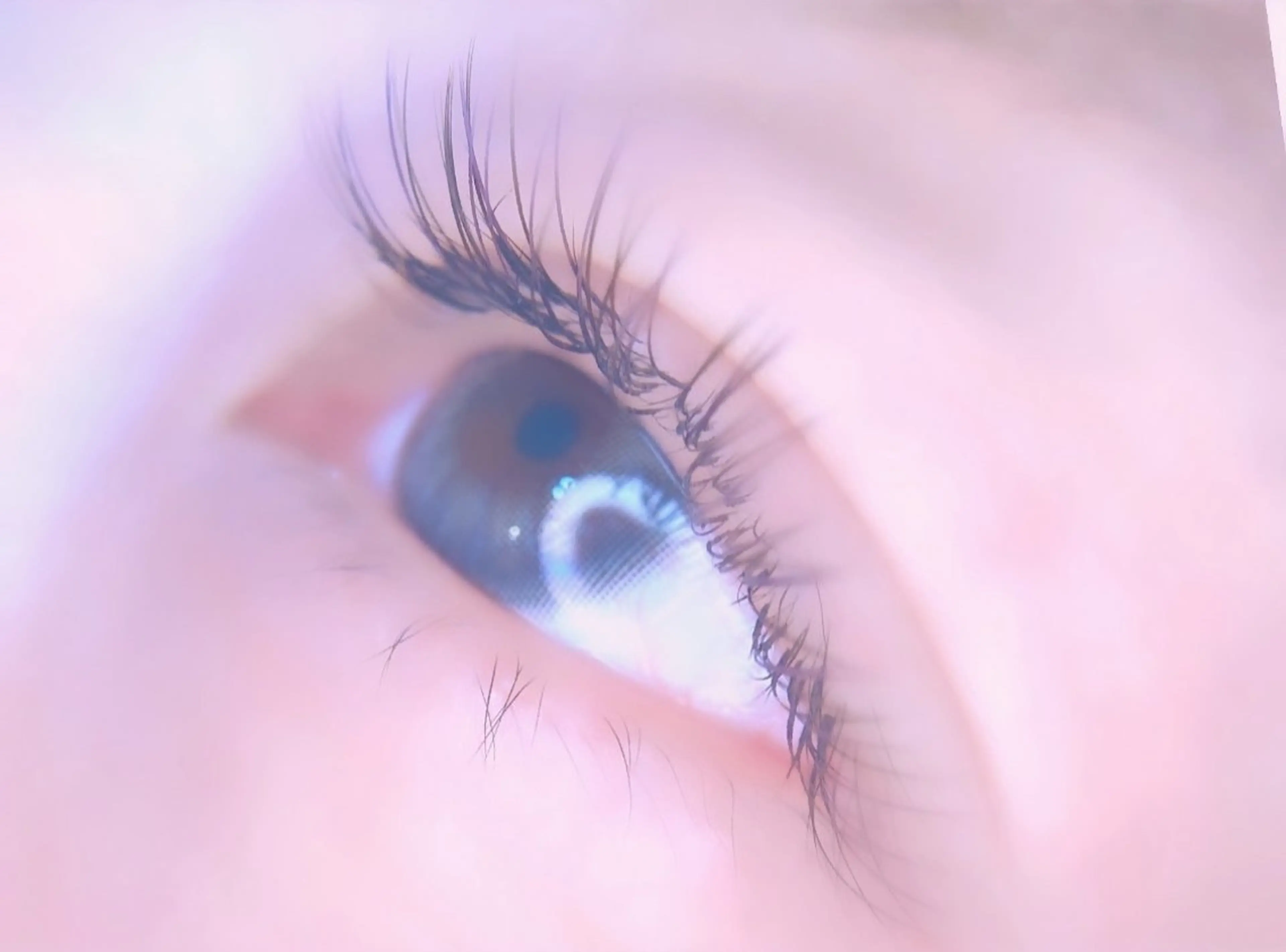 マツエク・マツパ フラットラッシュ Maaz haruna 🐸のマツエク・マツパデザイン