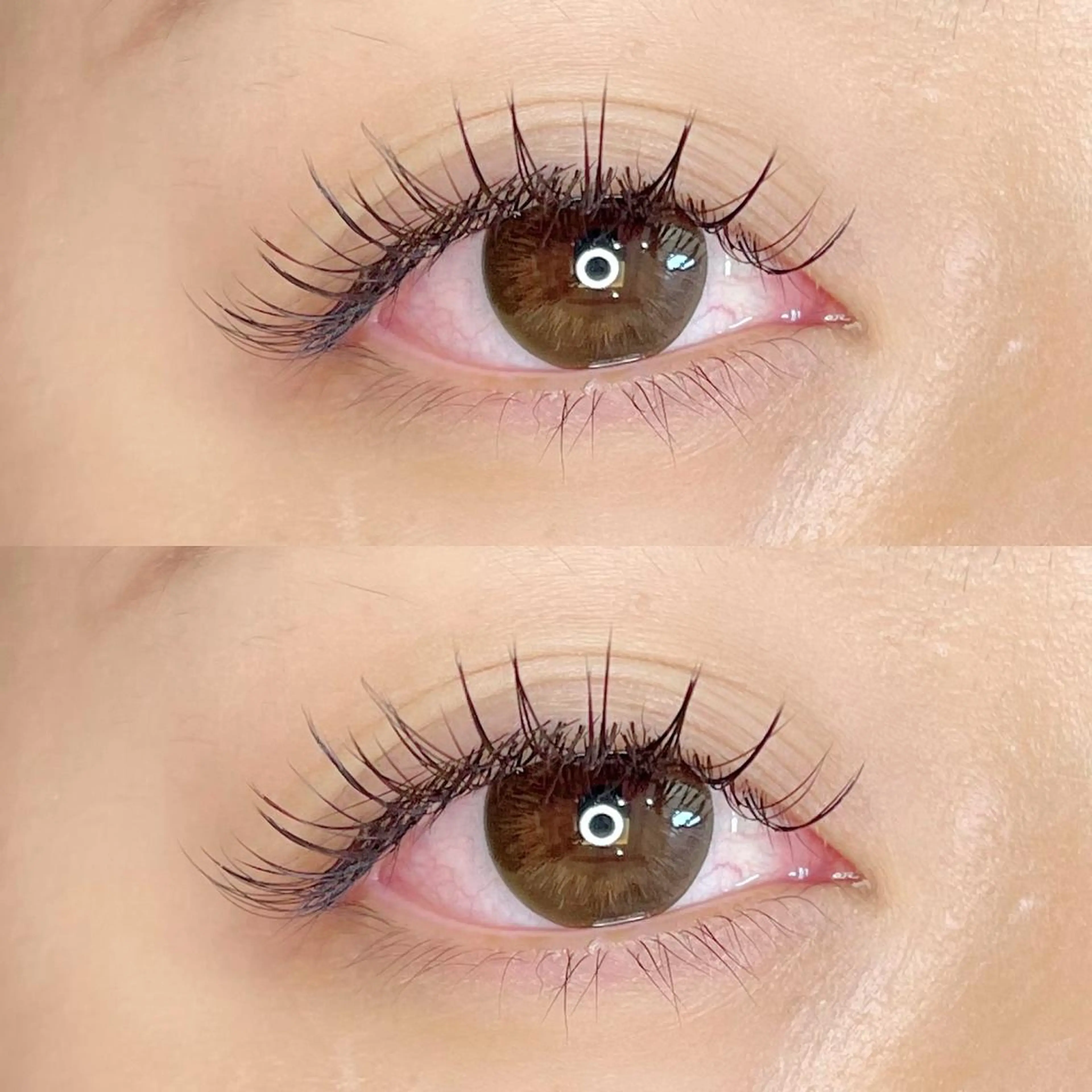 マツエク・マツパ フラットラッシュ セーブル taniuchi ramuのマツエク・マツパデザイン