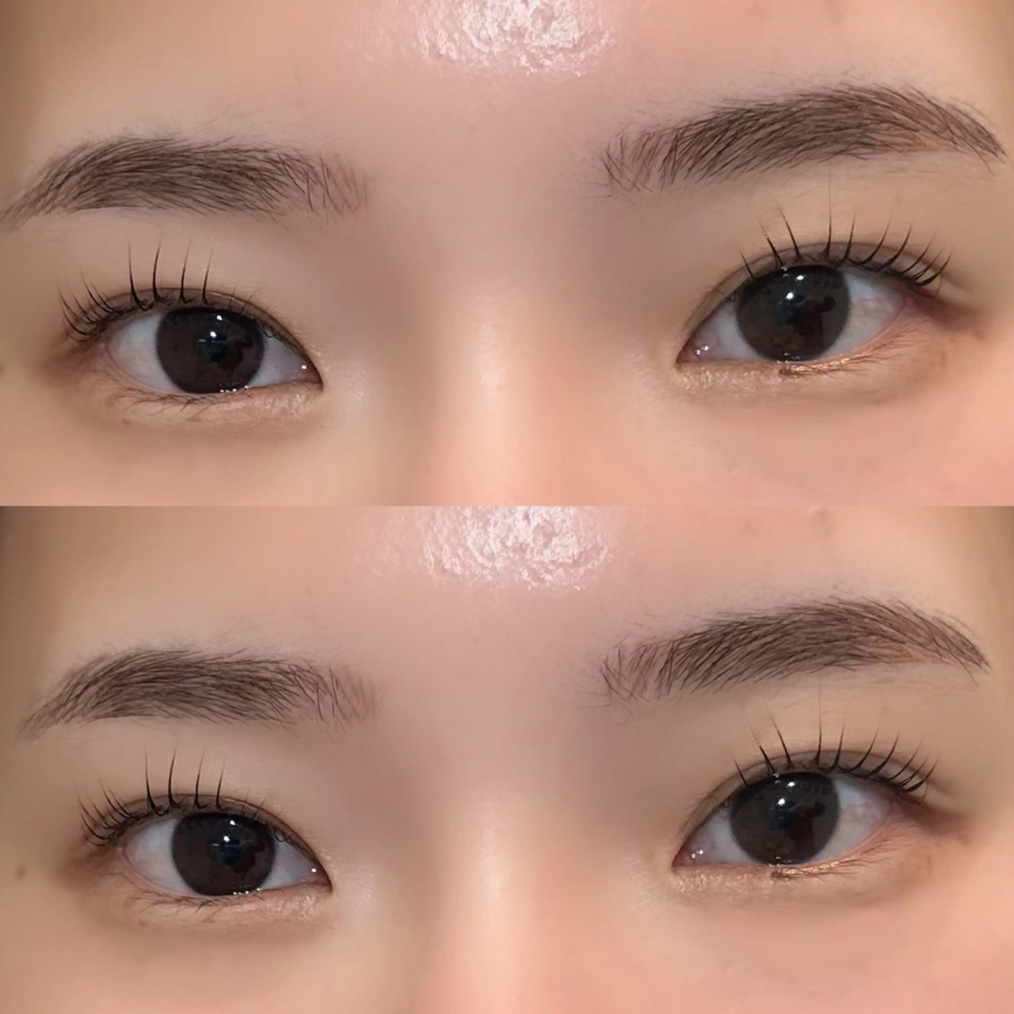 マツエク・マツパ パリジェンヌラッシュリフト mio🕊 横浜eyelistのマツエク・マツパデザイン