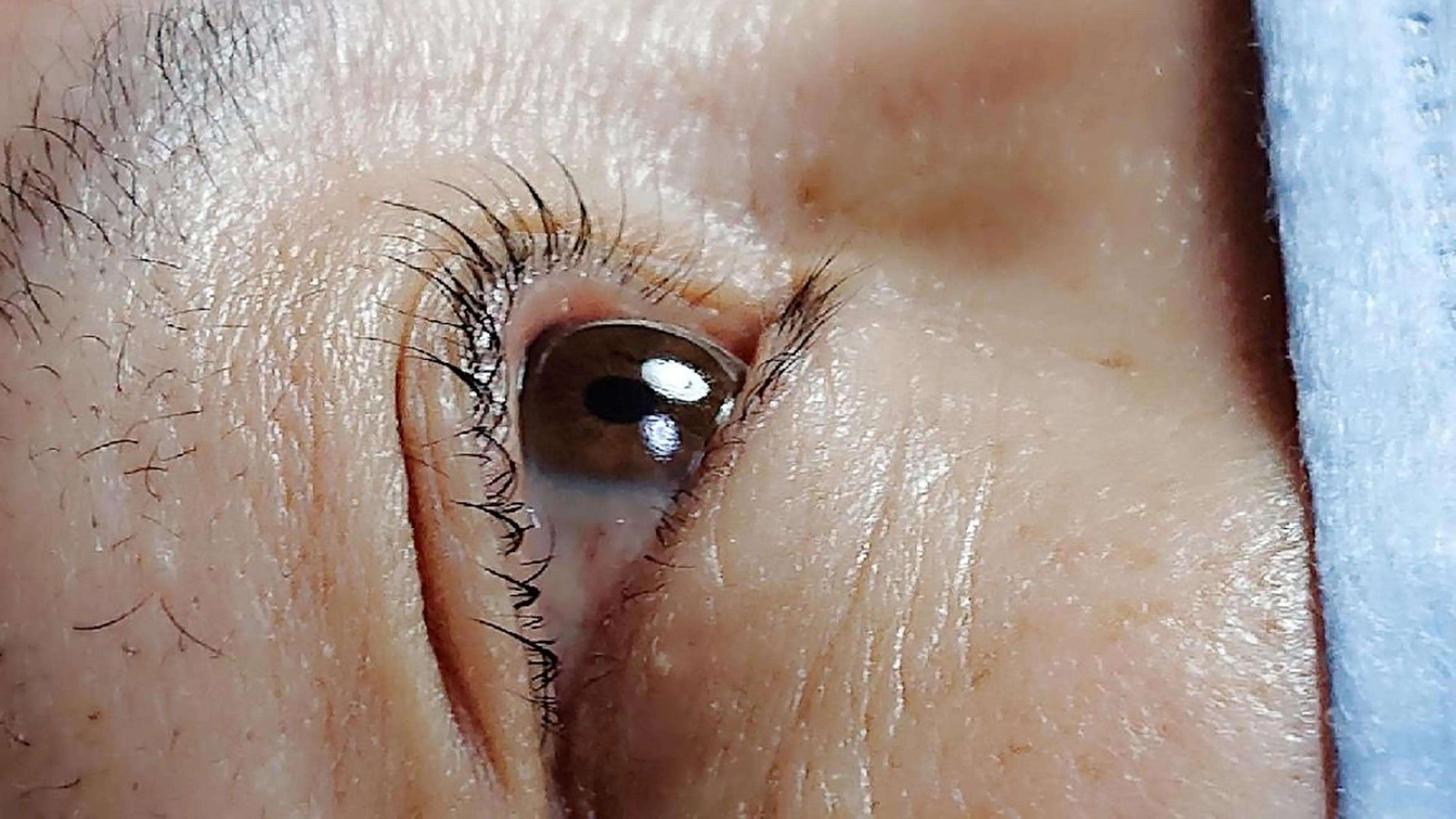 マツエク・マツパ 長田 明子のマツエク・マツパデザイン