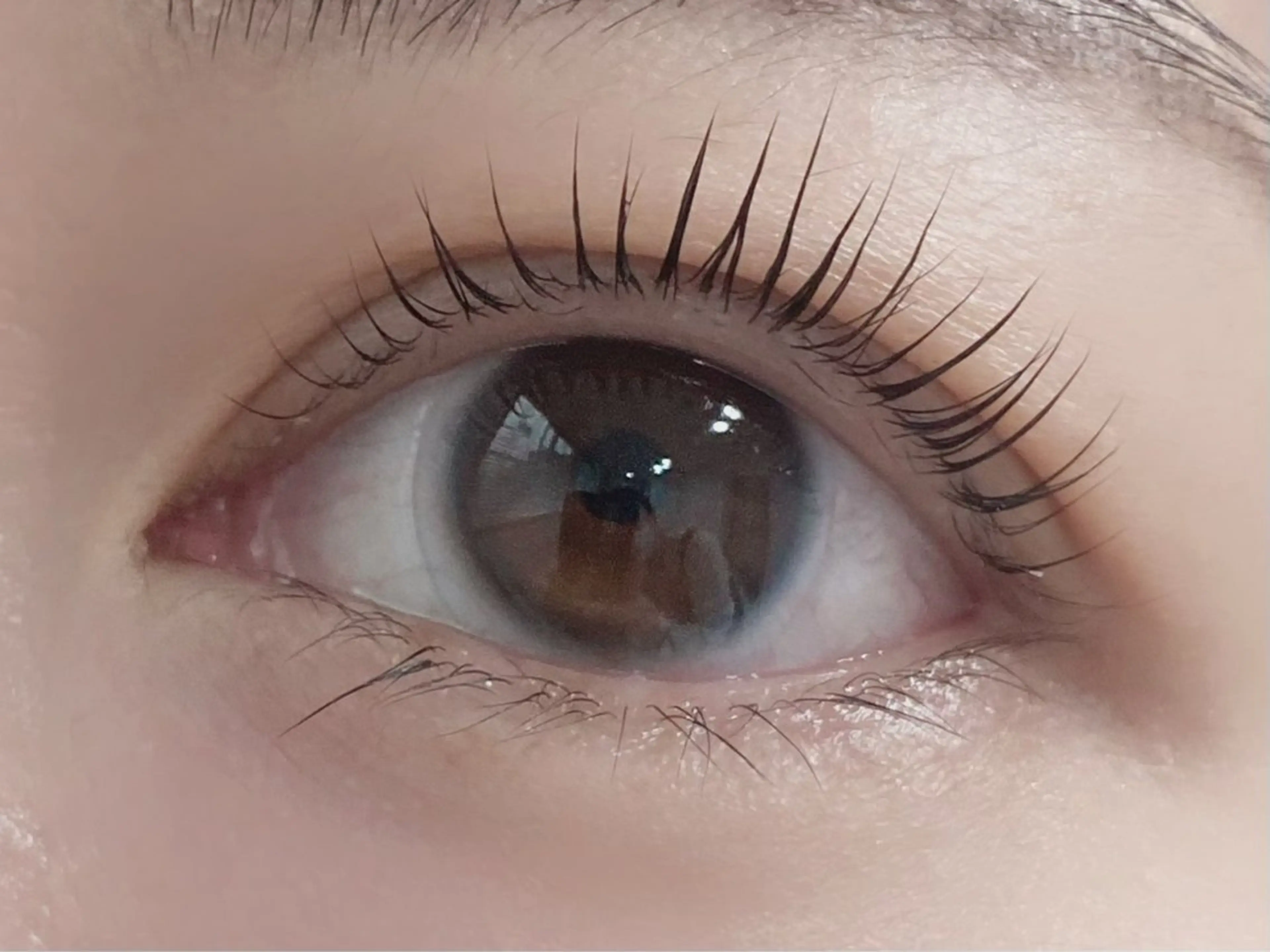 マツエク・マツパ パリジェンヌラッシュリフト マツパ 💎マツエク/眉毛 パリジェンヌ渋谷💎のマツエク・マツパデザイン