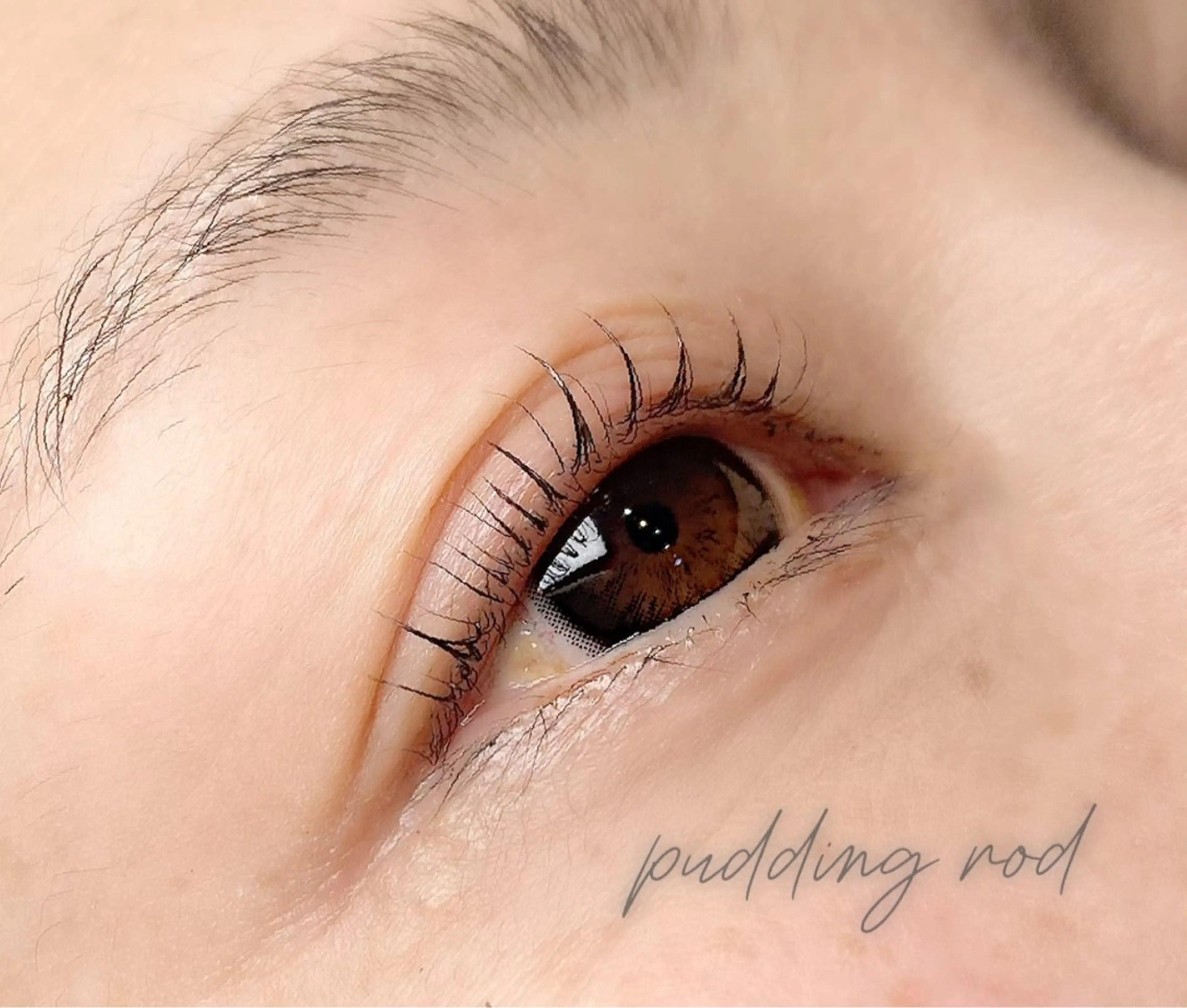 リピーター様⭐︎まつげパーマの写真