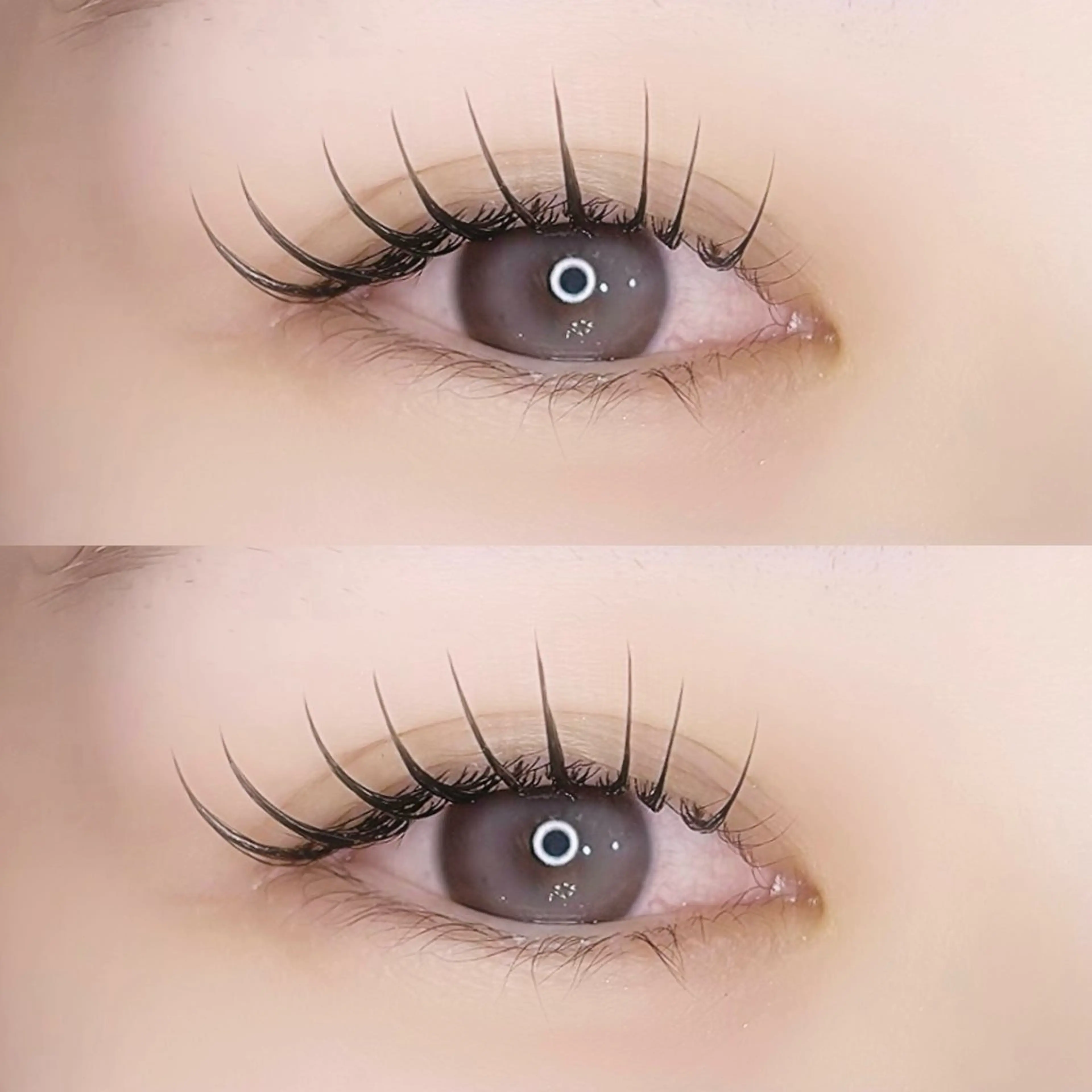 【2週間限定‼️】LED×フラットラッシュ140本までの写真