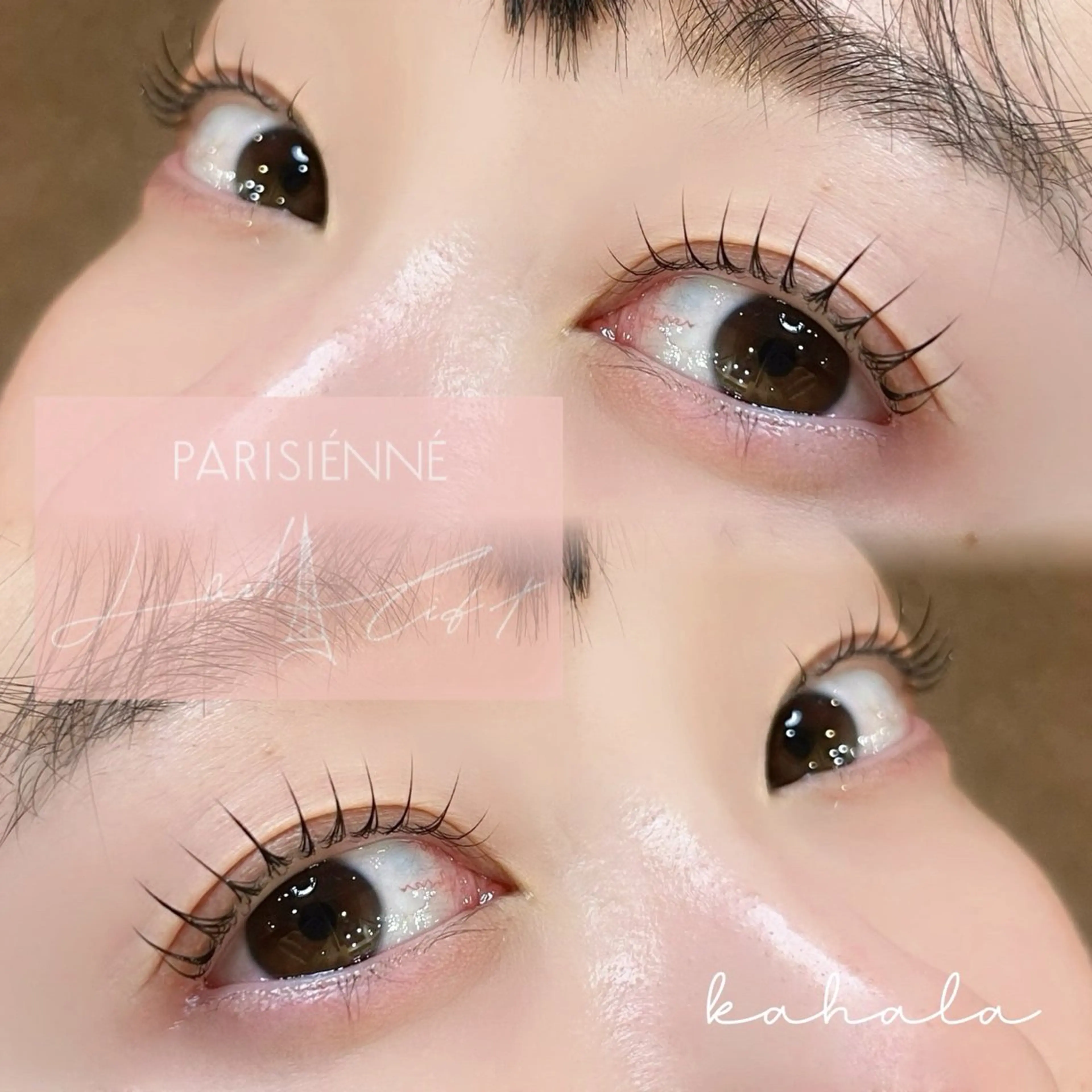 マツエク・マツパ Fujimoto 🦭⸝⋆꙳のマツエク・マツパデザイン